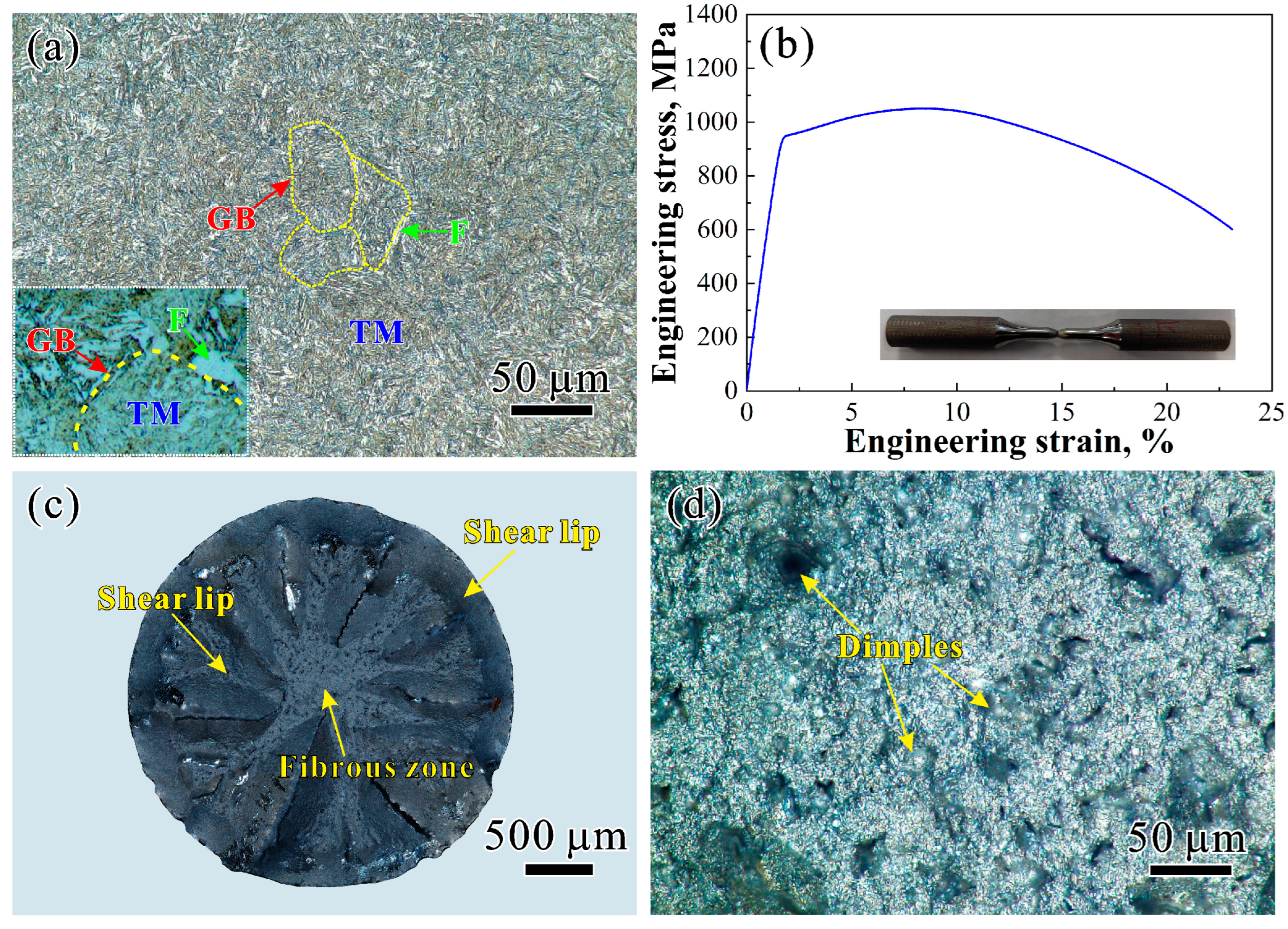 Metals 14 00110 g002