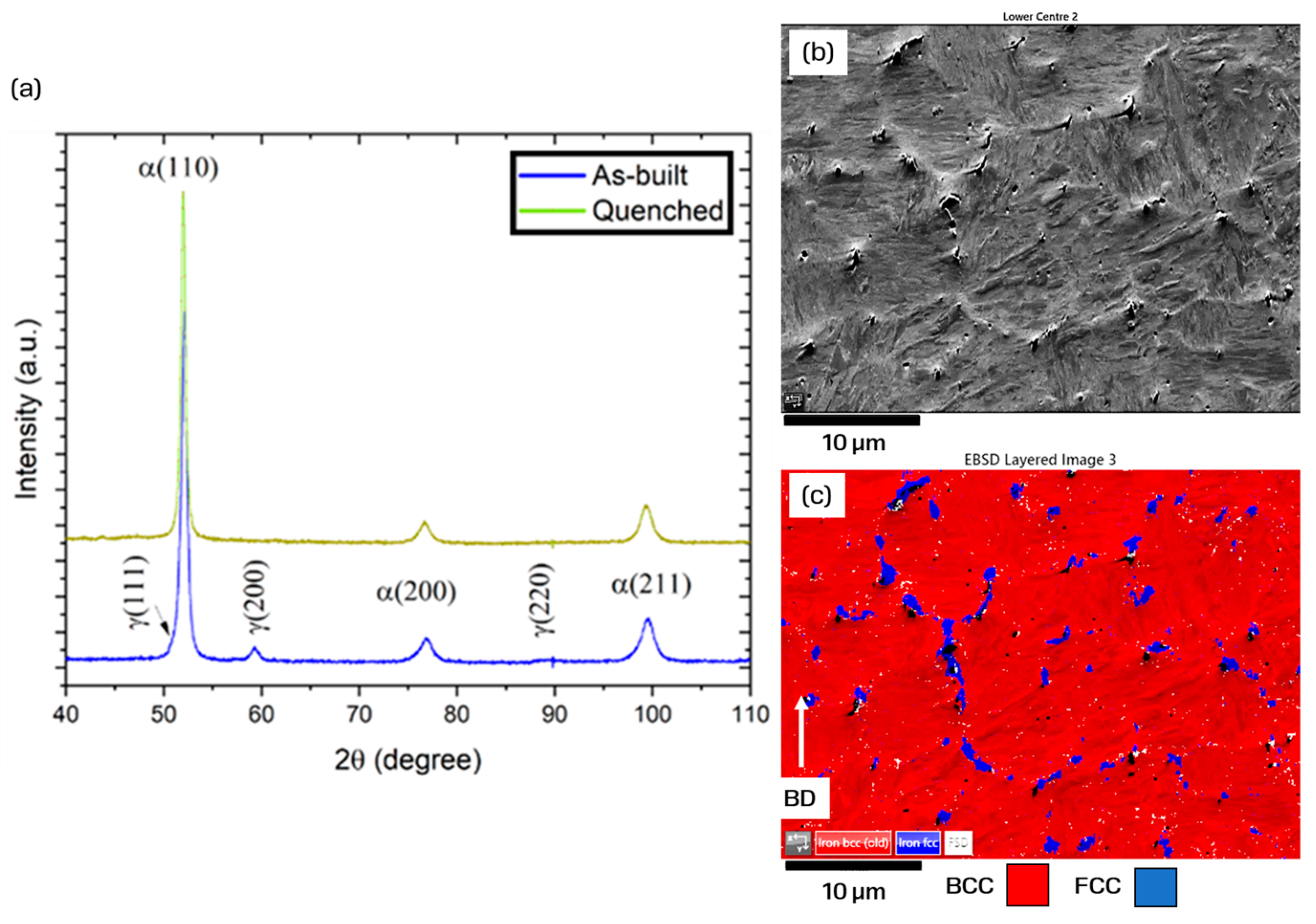 Metals 14 00112 g003