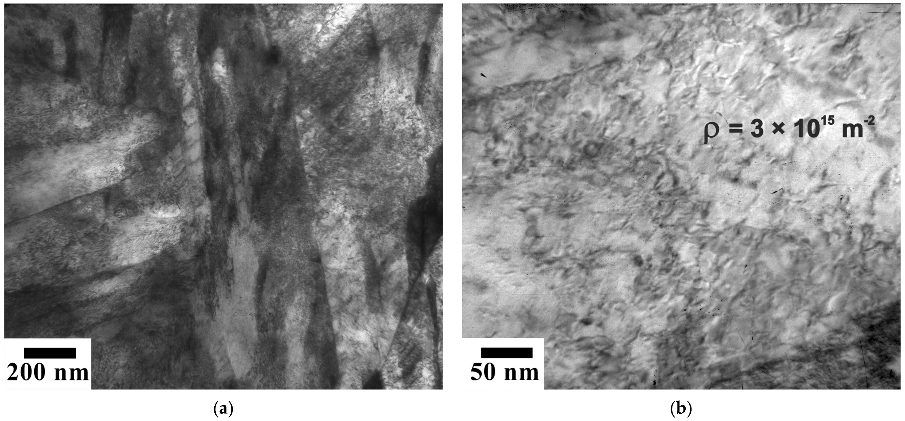 Metals 14 00114 g007