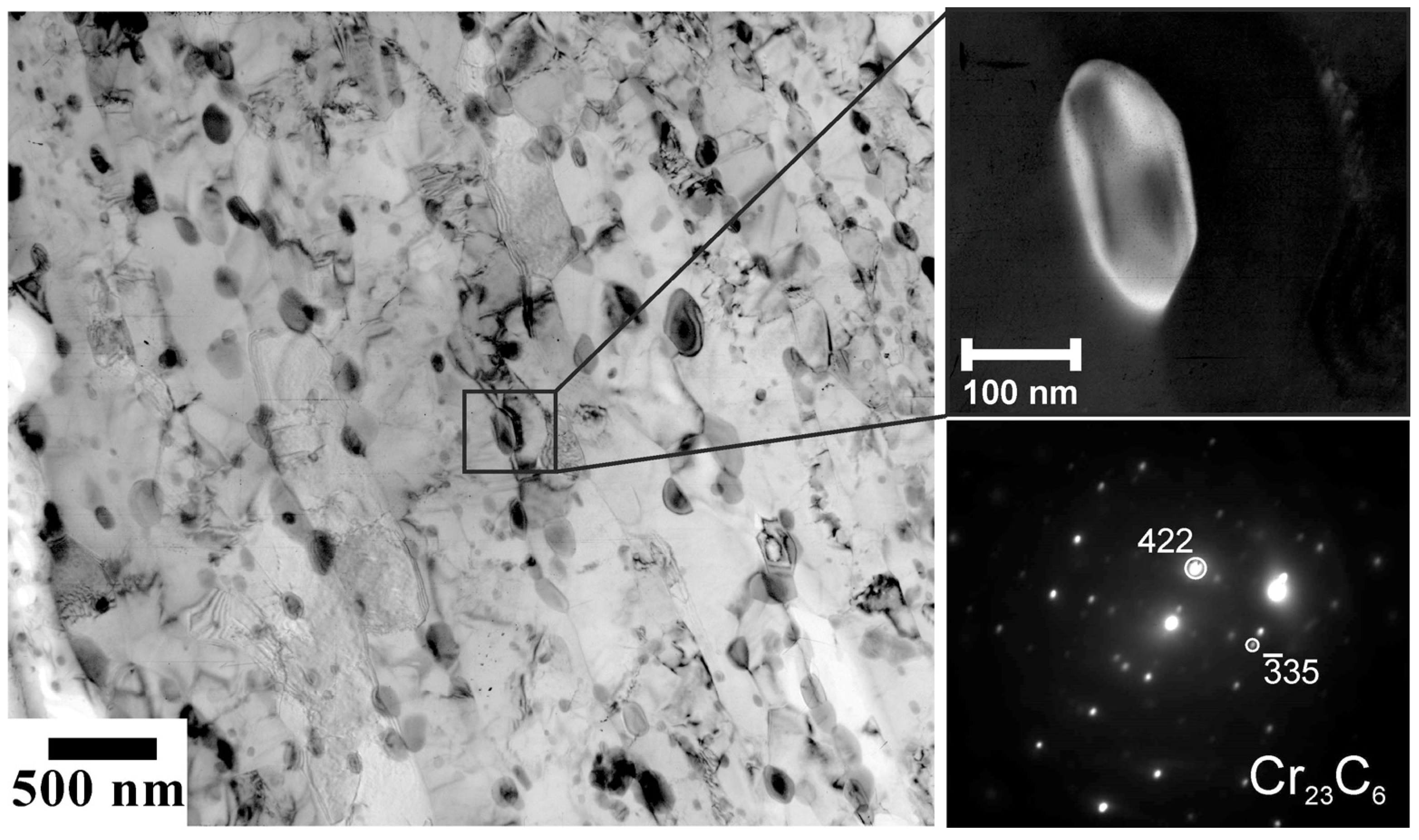 Metals 14 00114 g009