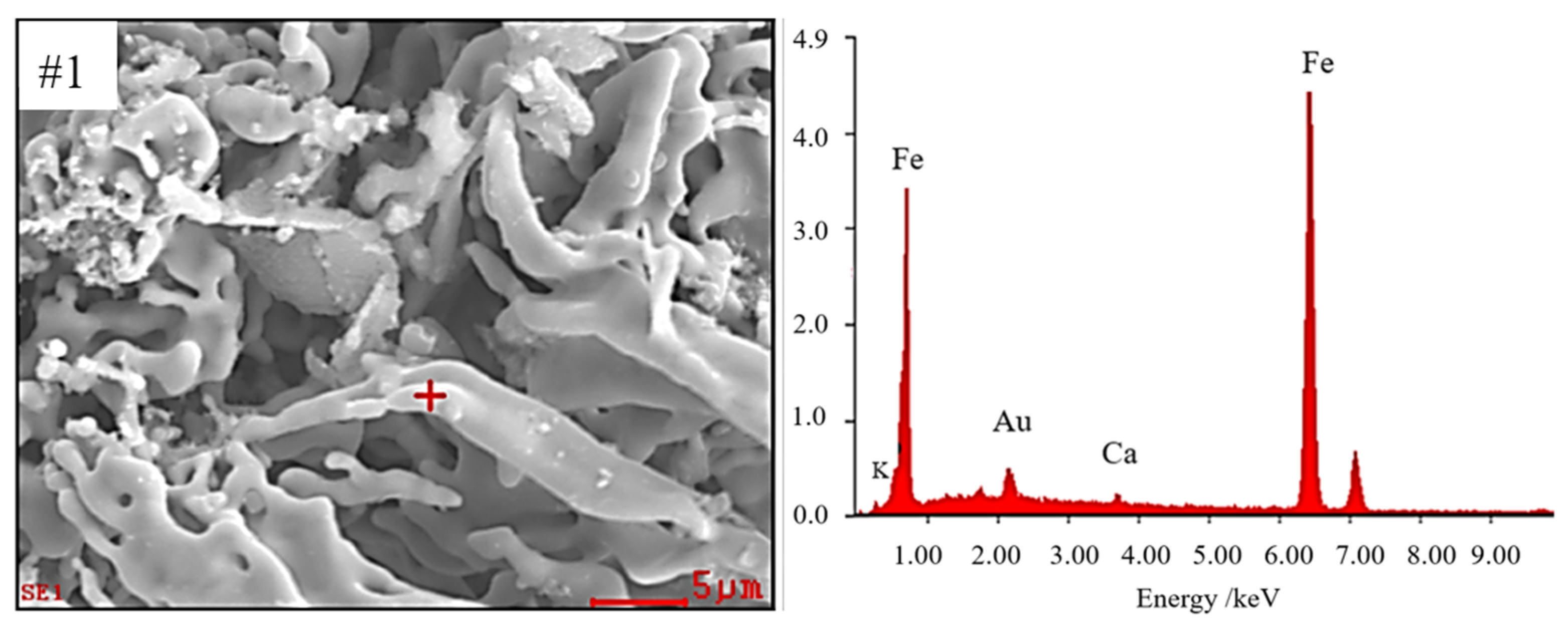 Metals 14 00116 g012