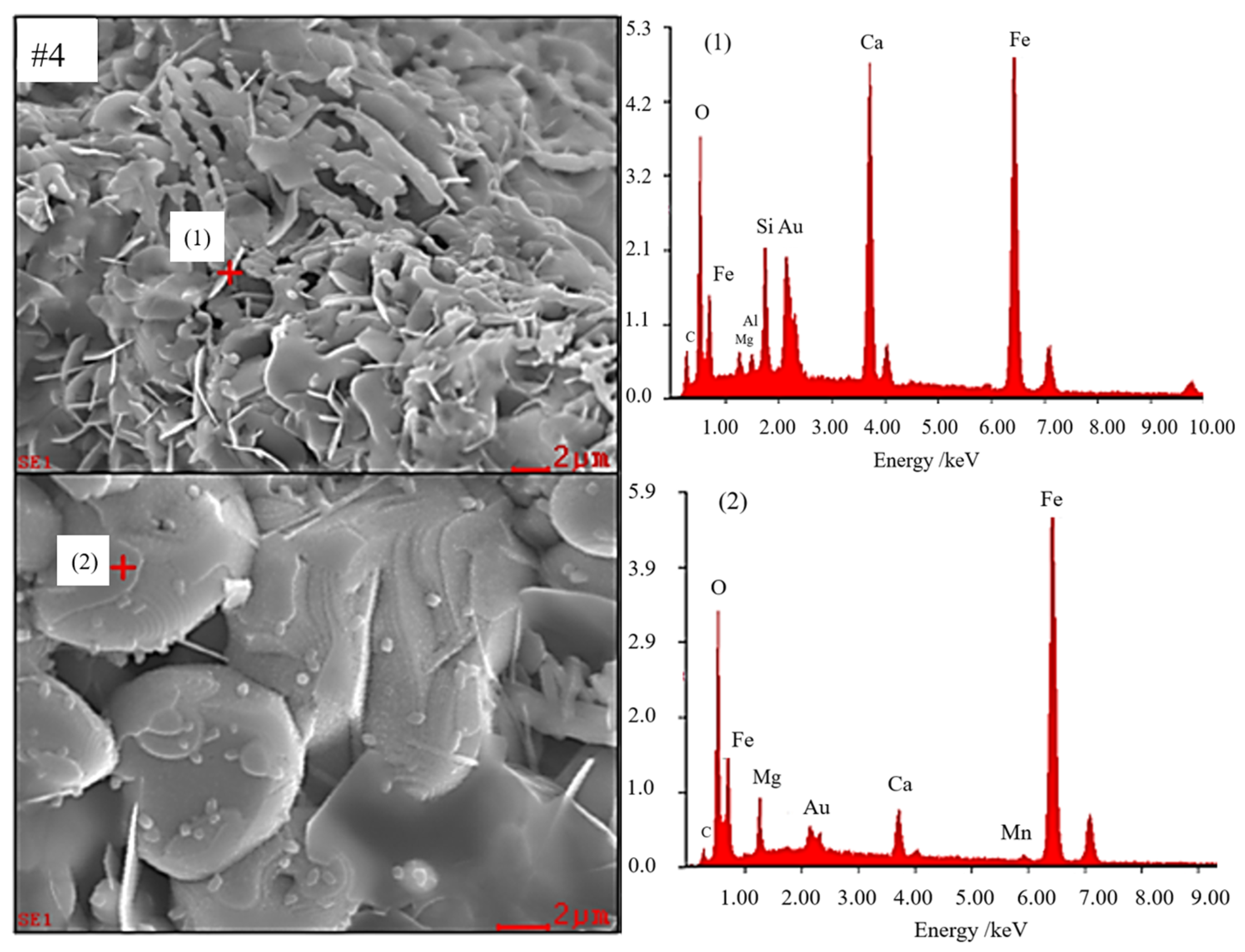 Metals 14 00116 g015