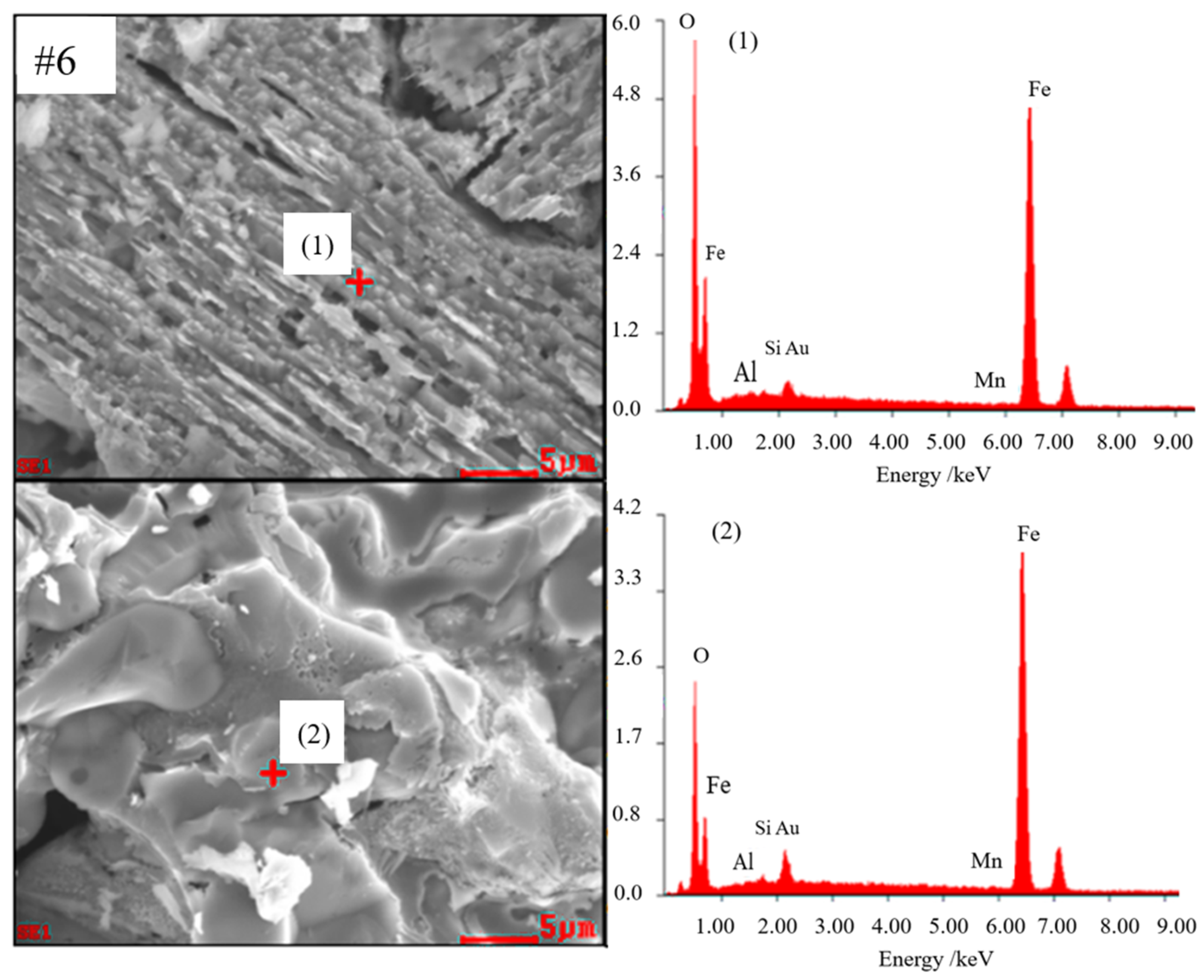 Metals 14 00116 g019