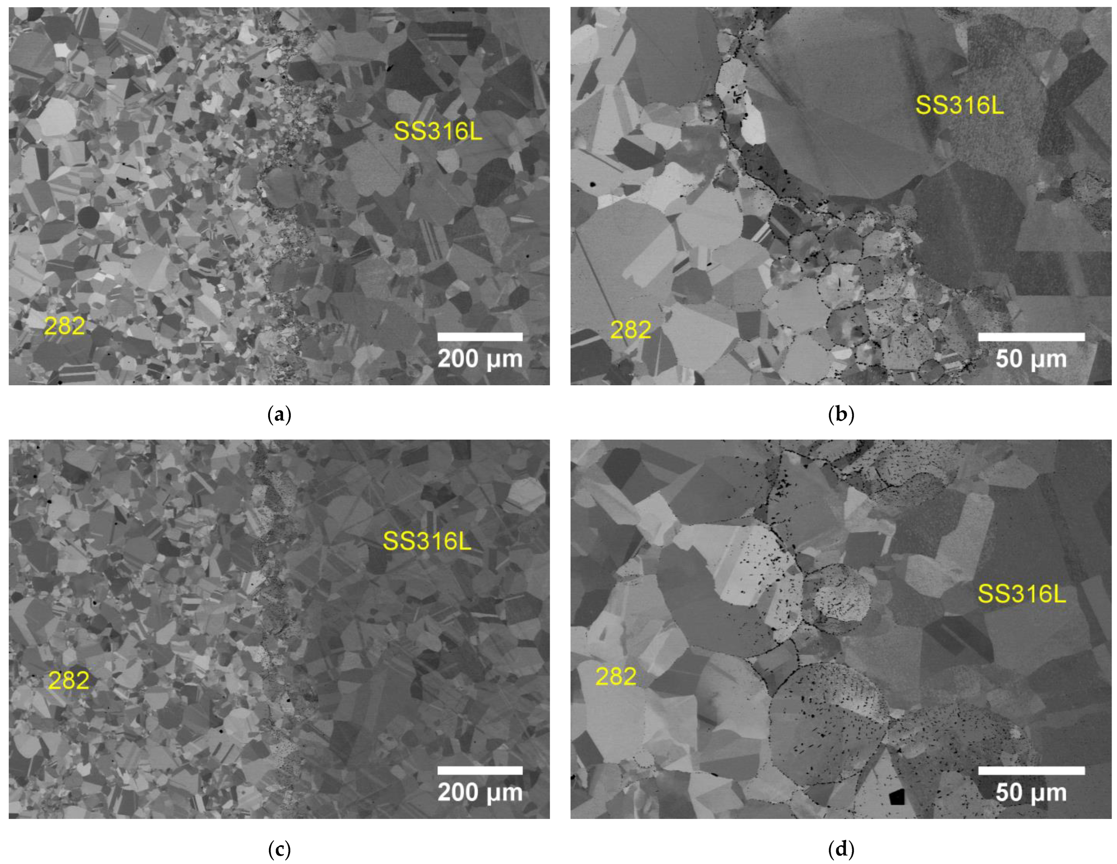 Metals 14 00118 g009