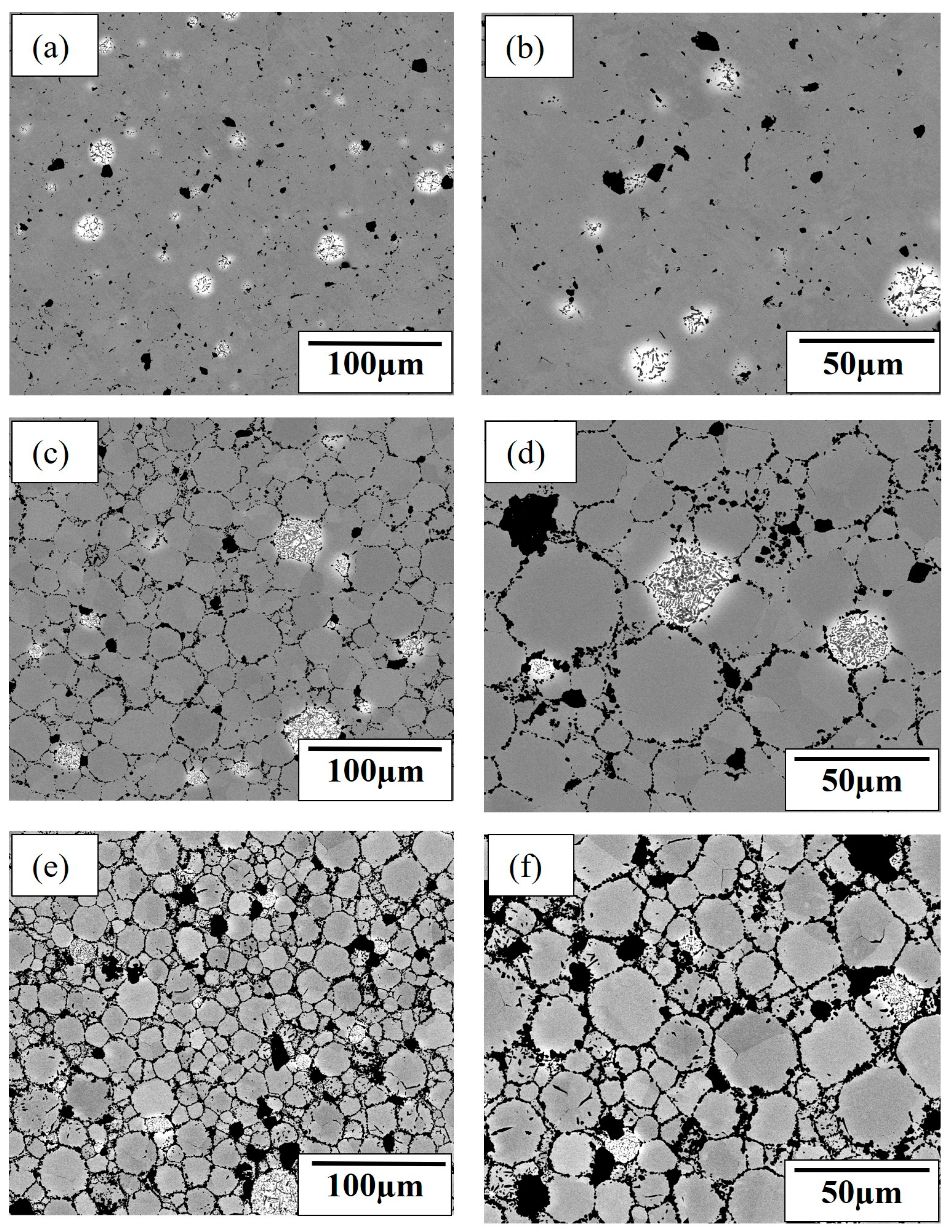 Metals 14 00122 g003