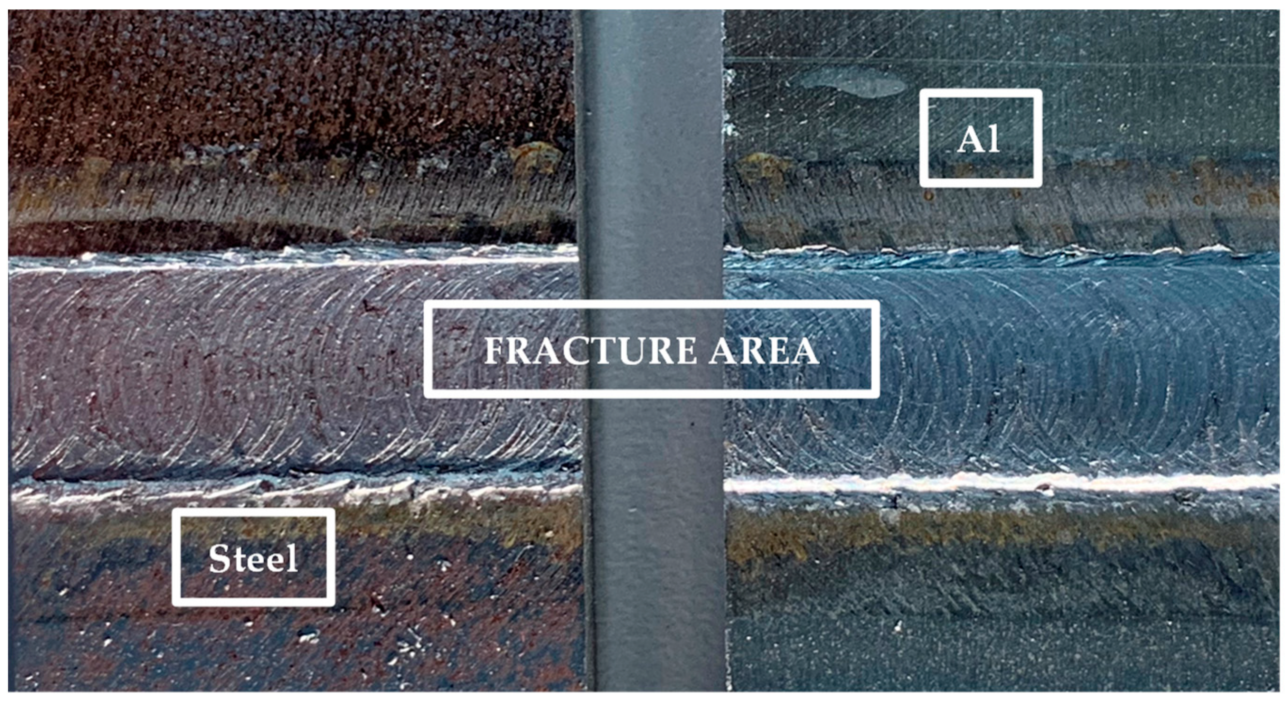 Metals 14 00137 g003