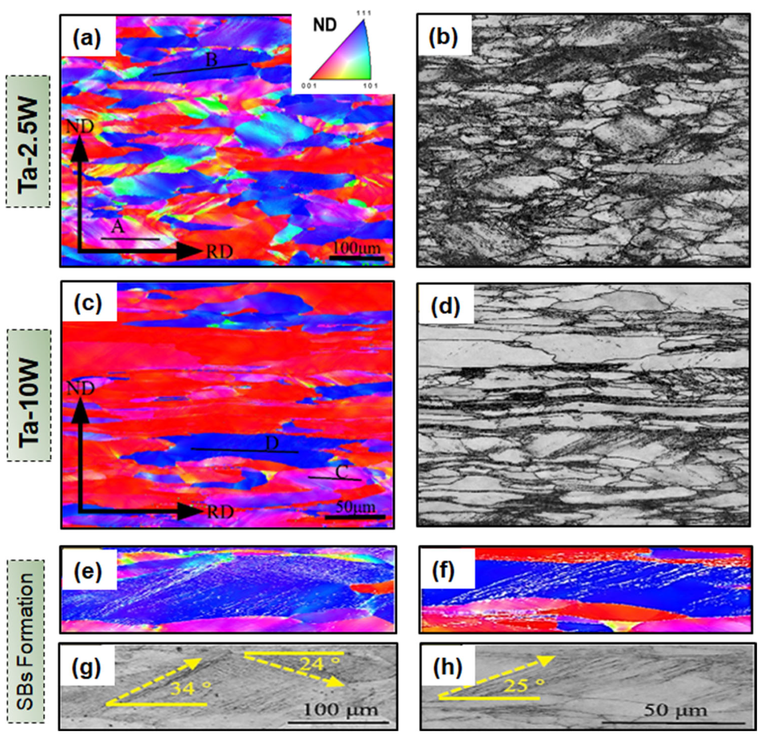 Metals 14 00149 g007