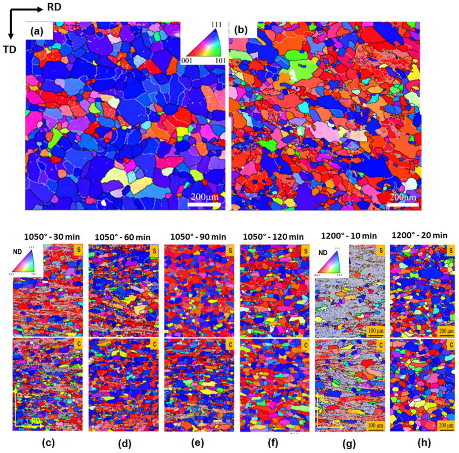 Metals 14 00149 g008