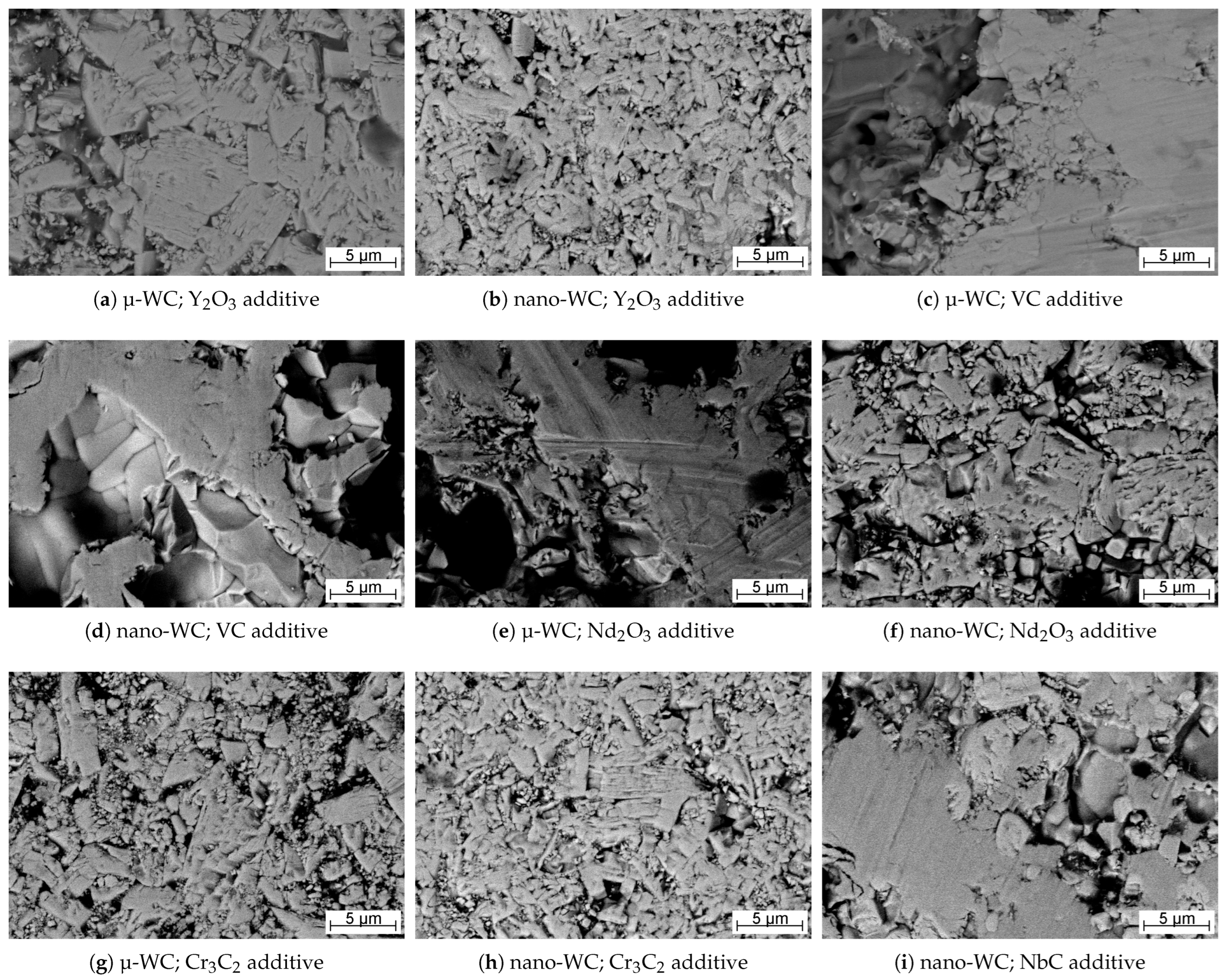 Metals 14 00167 g005