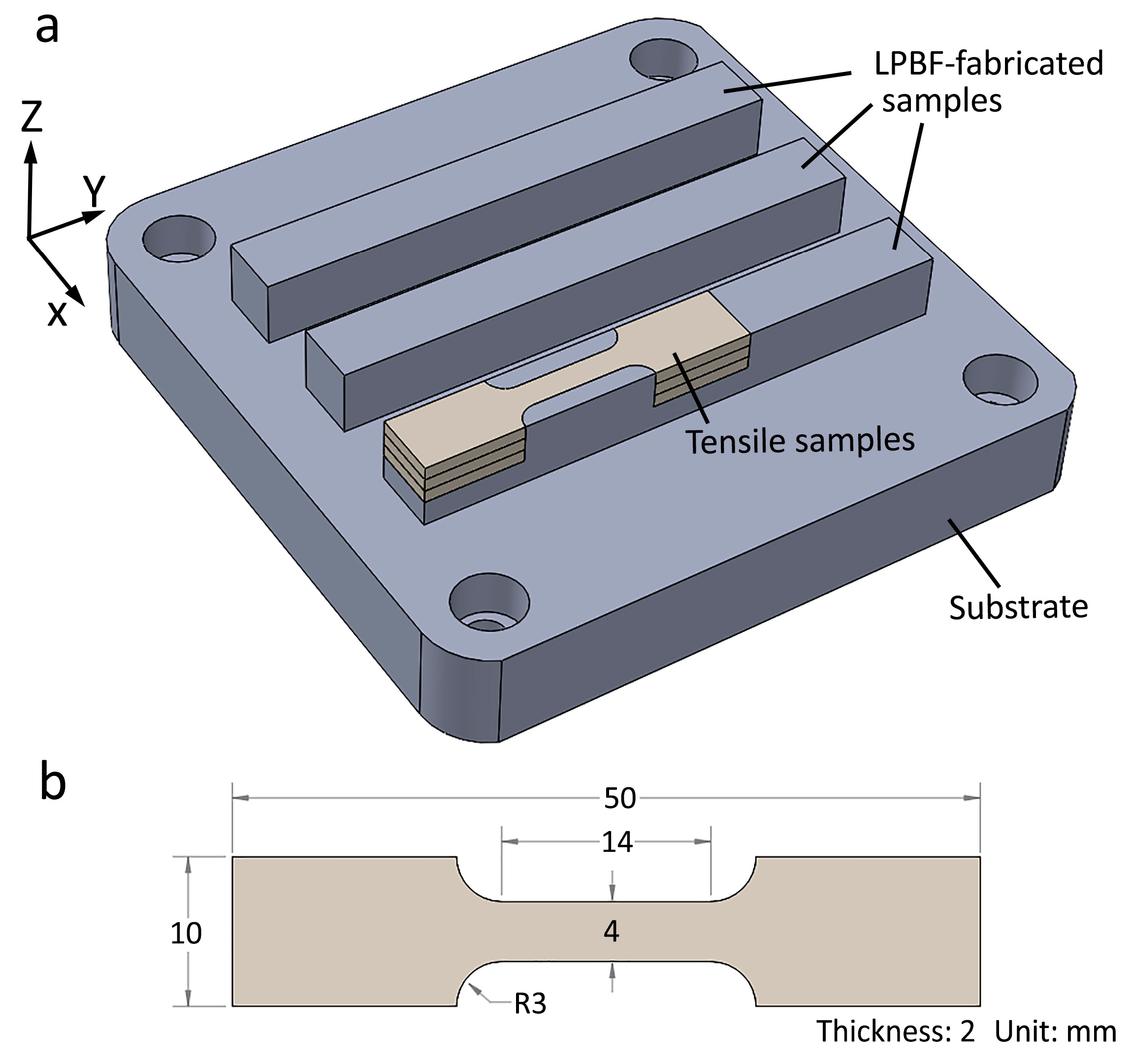 Metals 14 00170 g002