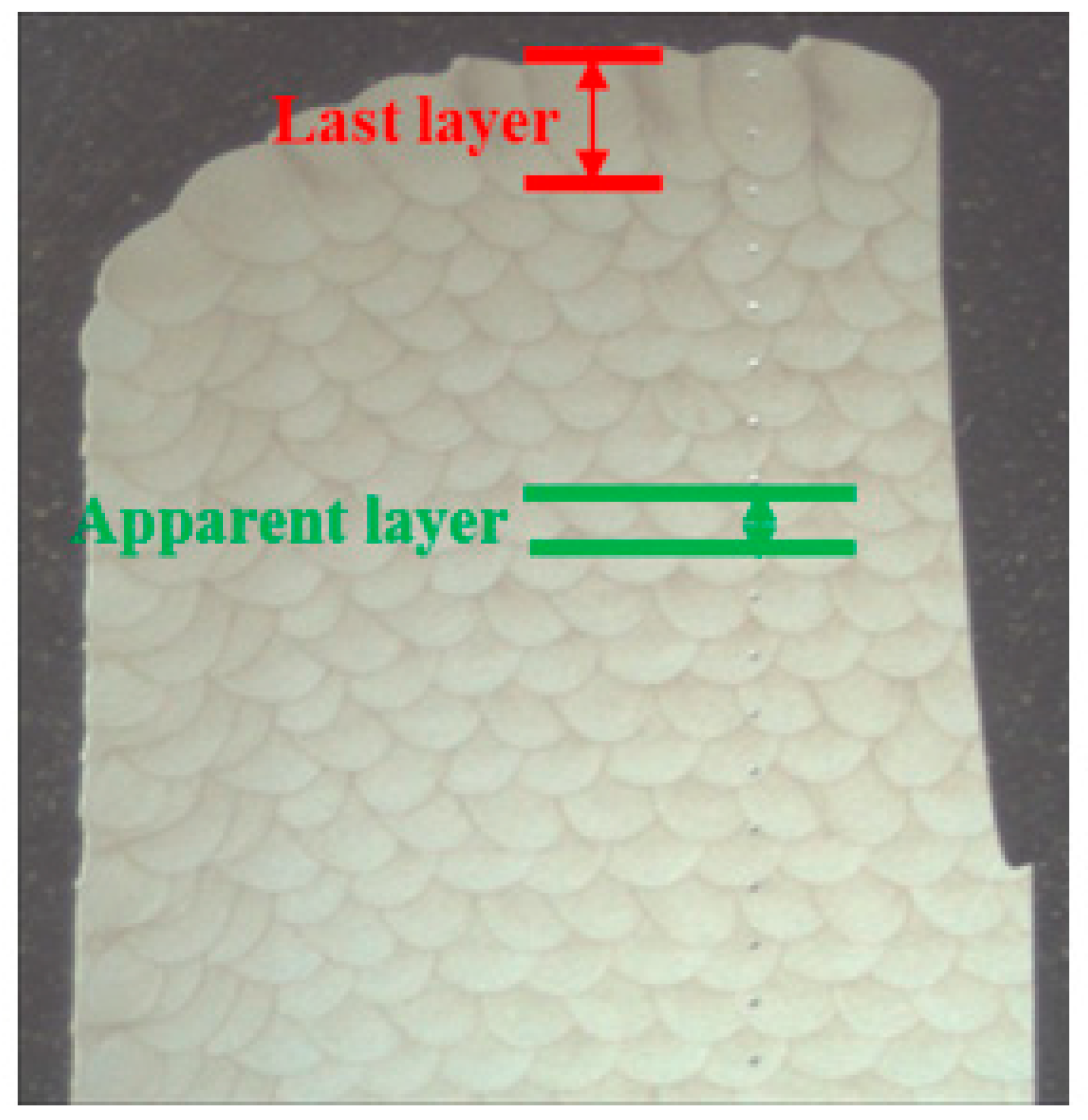 Metals 14 00173 g005