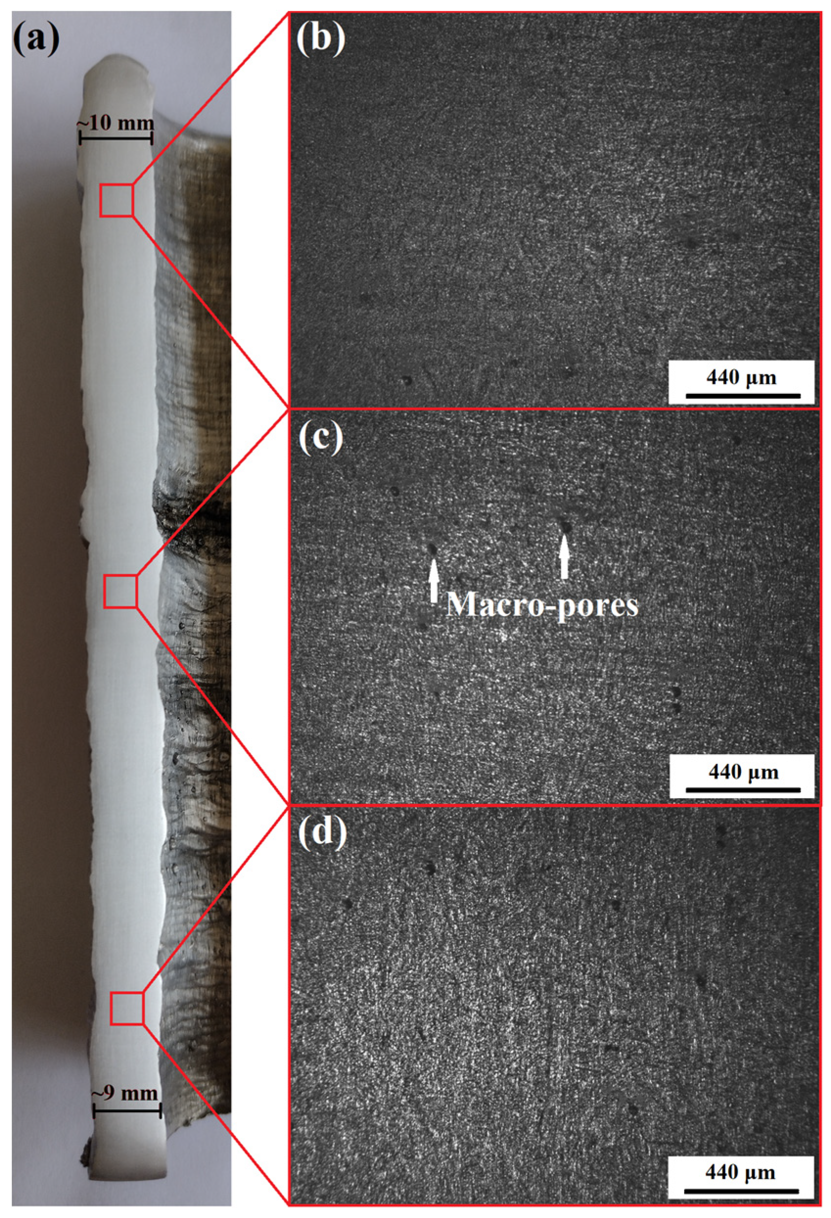 Metals 14 00183 g009