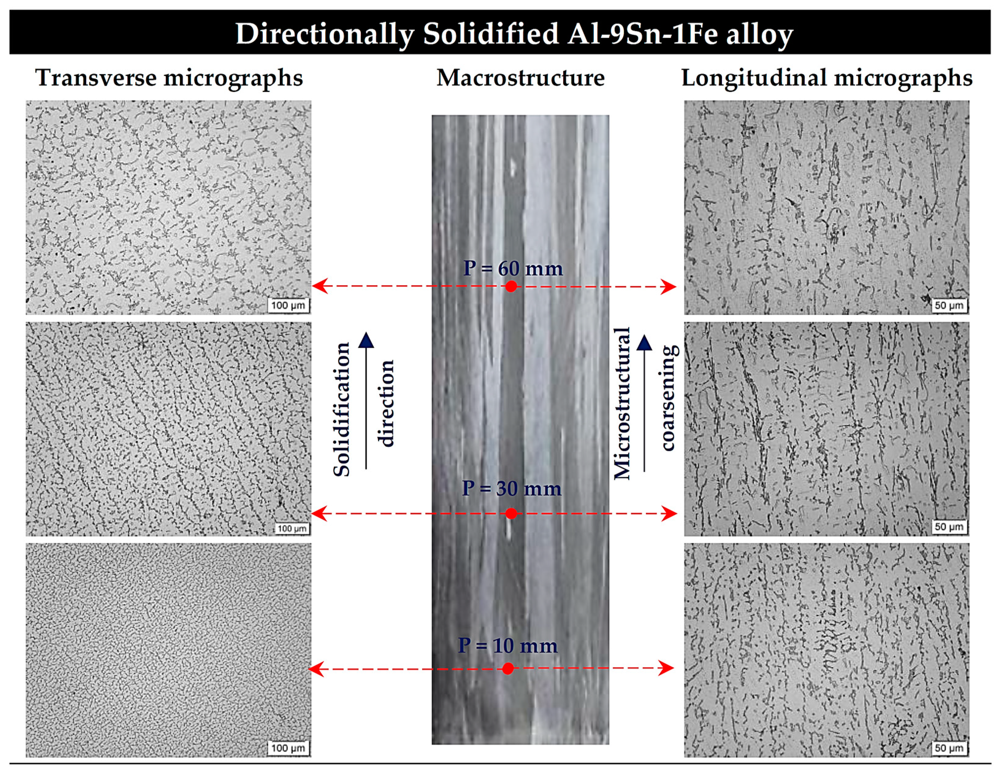 Metals 14 00187 g004