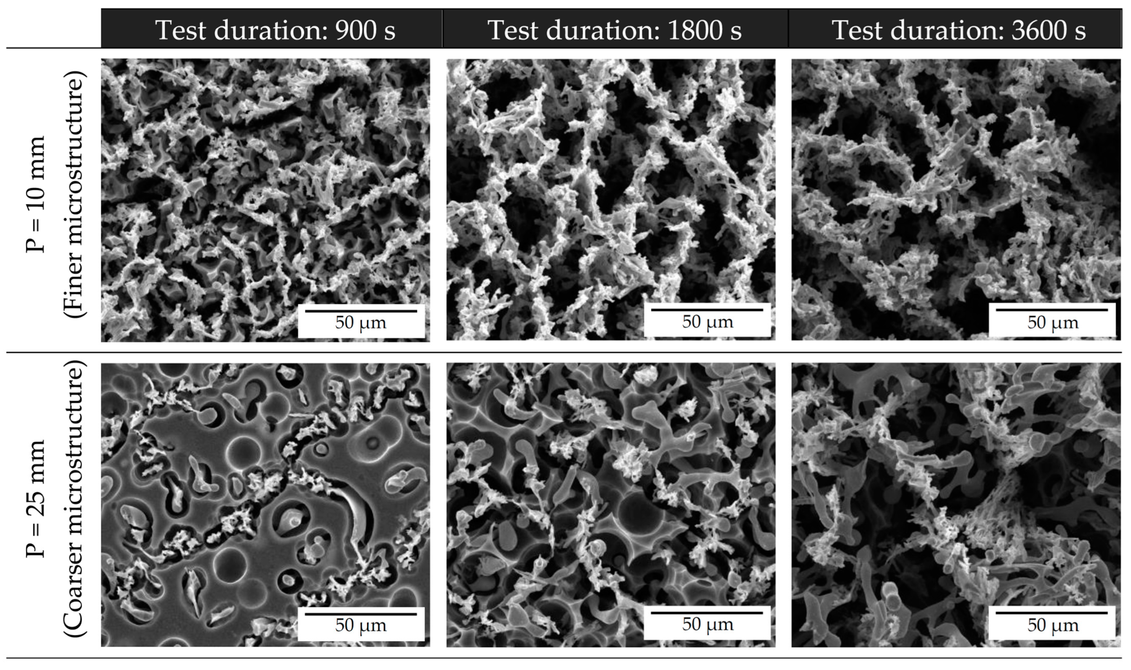Metals 14 00187 g009