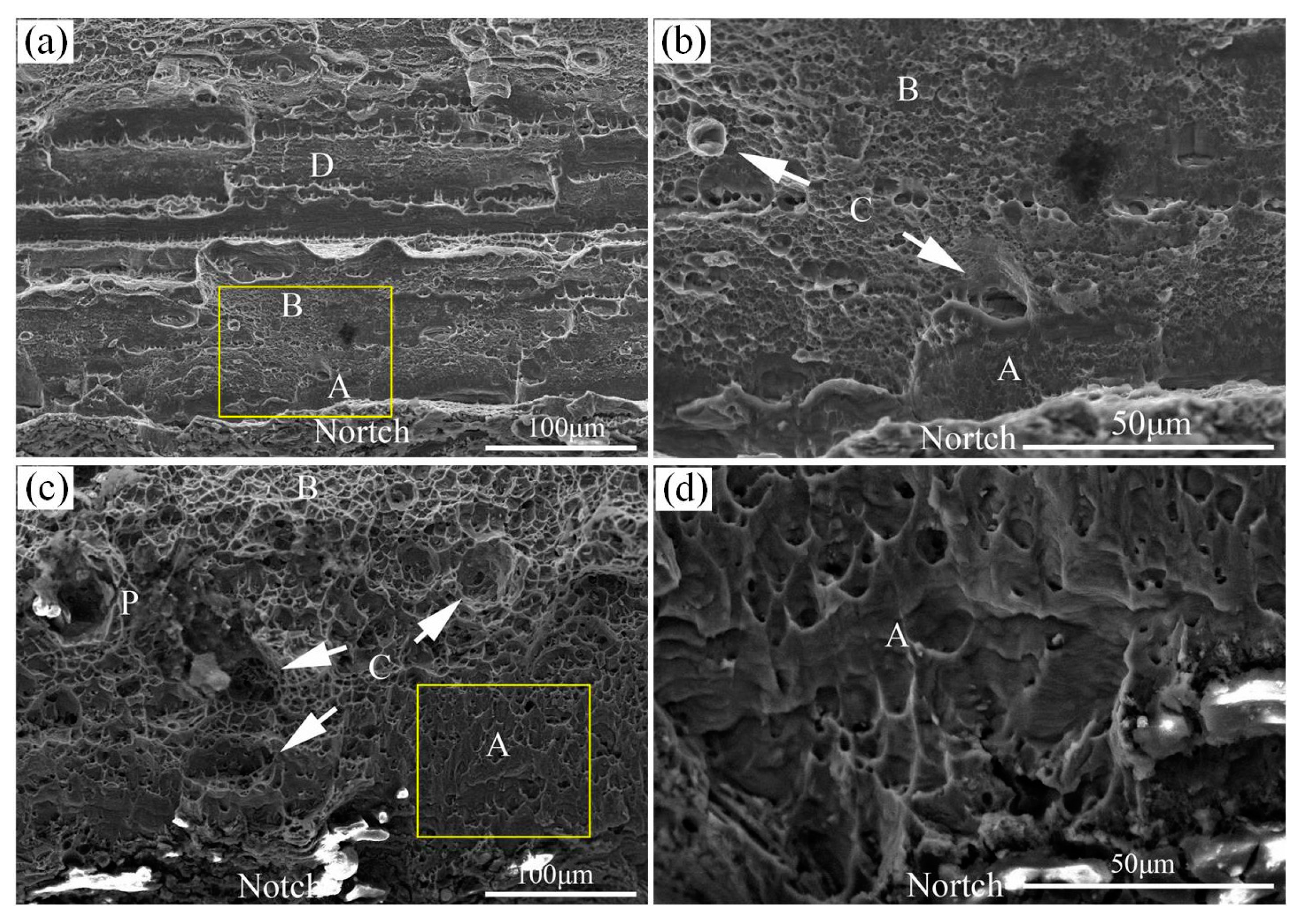 Metals 14 00190 g015