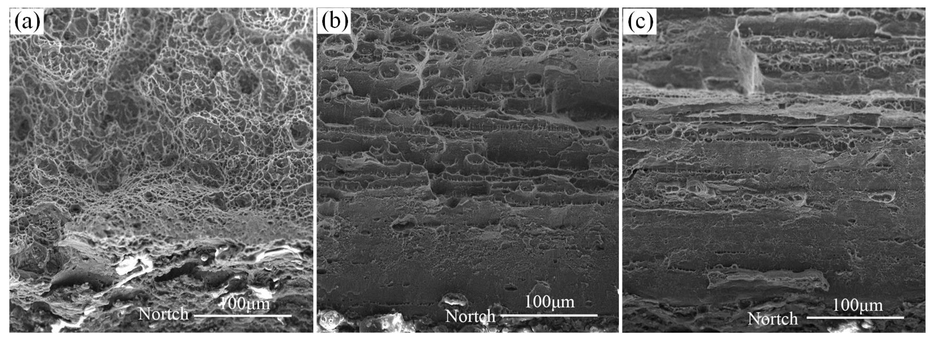 Metals 14 00190 g019