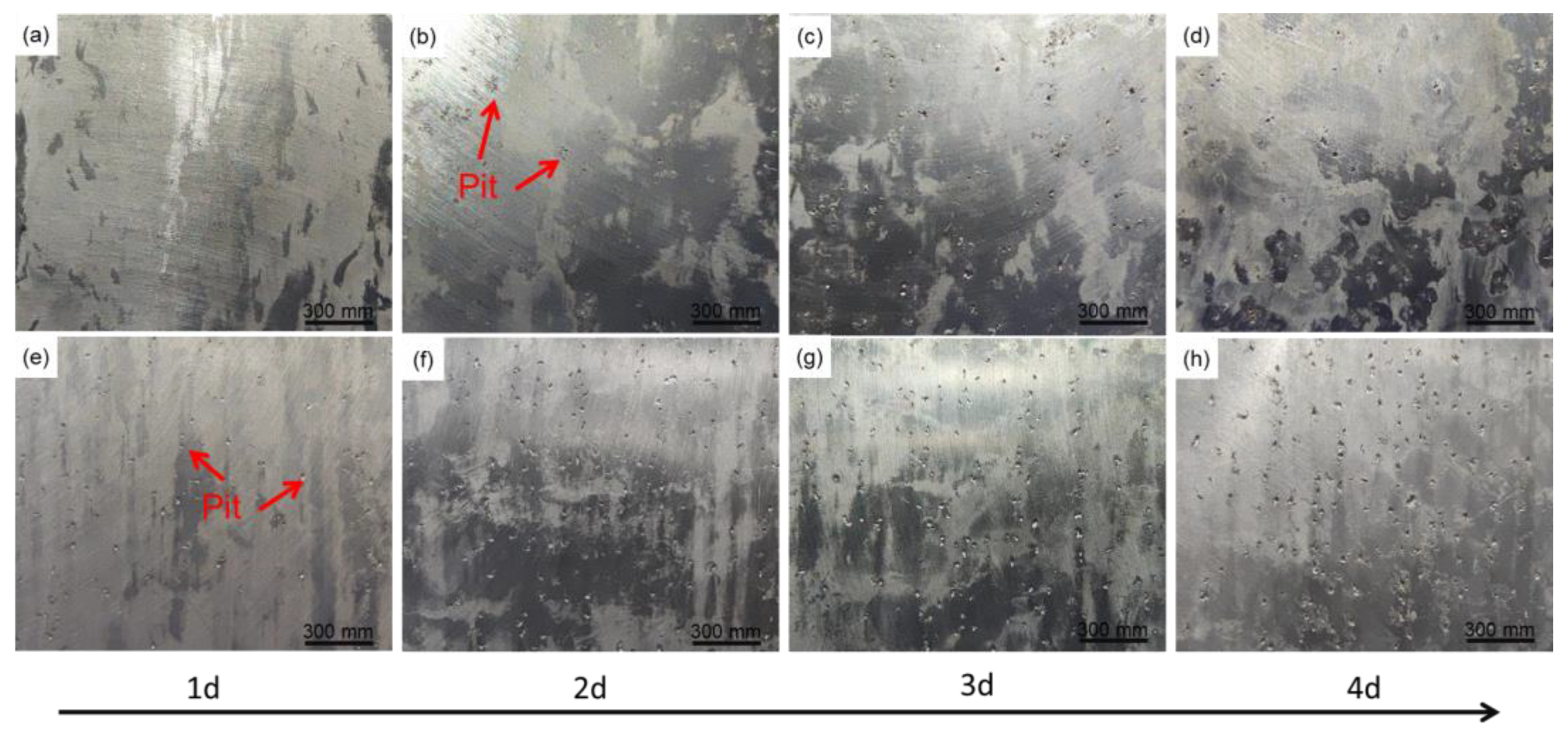 Metals 14 00196 g004