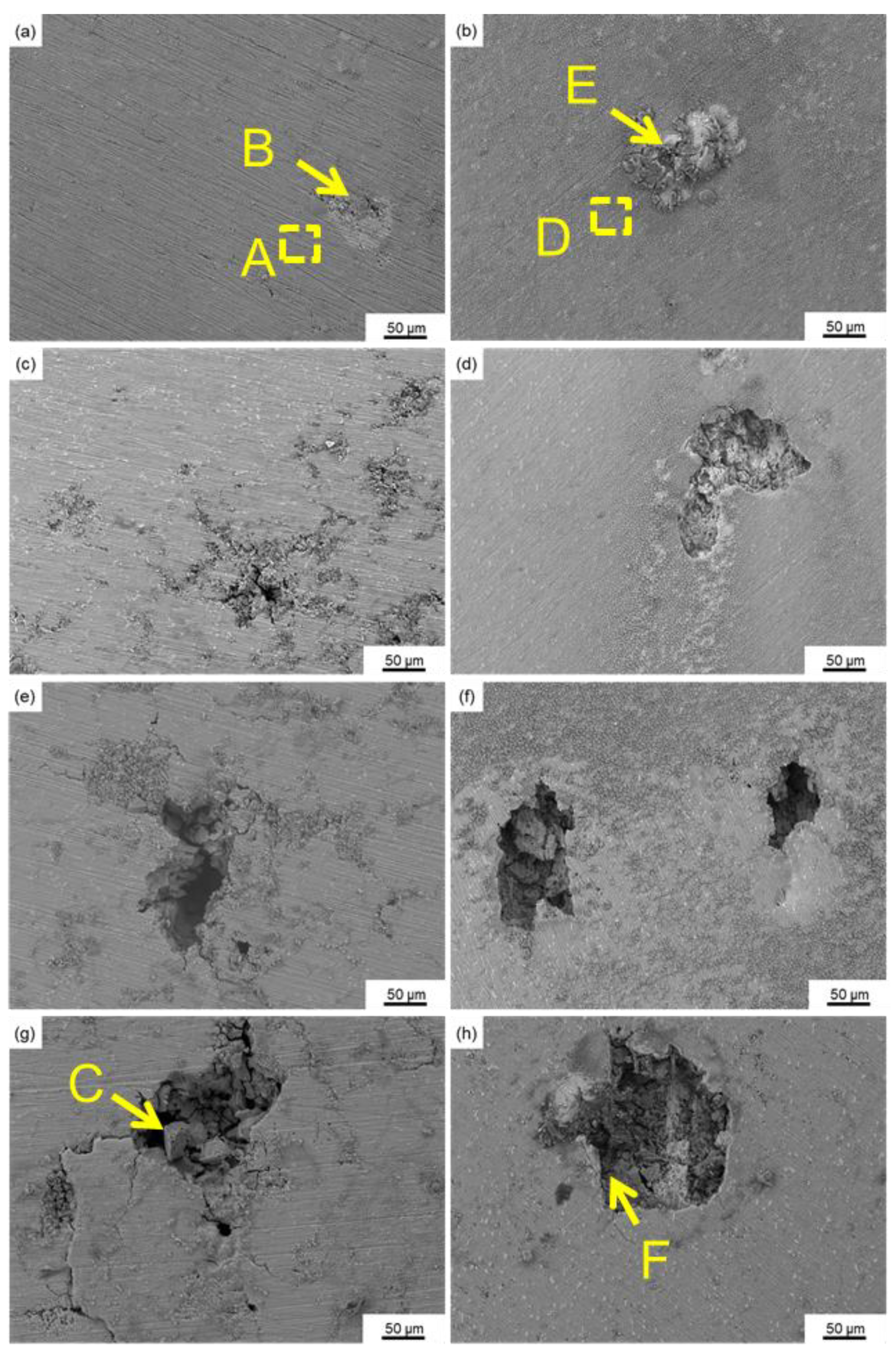 Metals 14 00196 g005