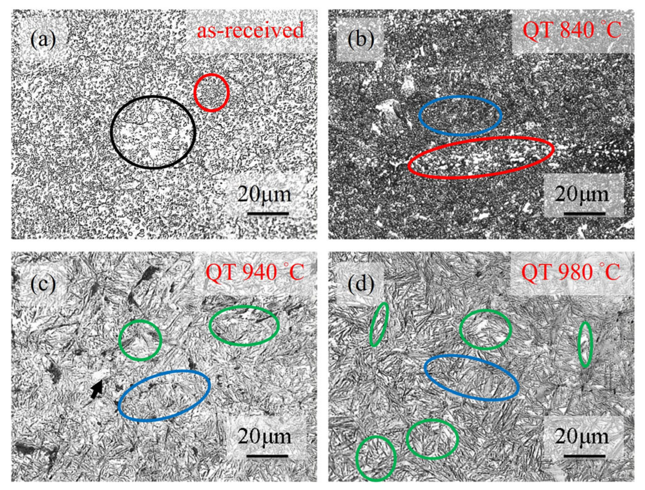 Metals 14 00201 g003
