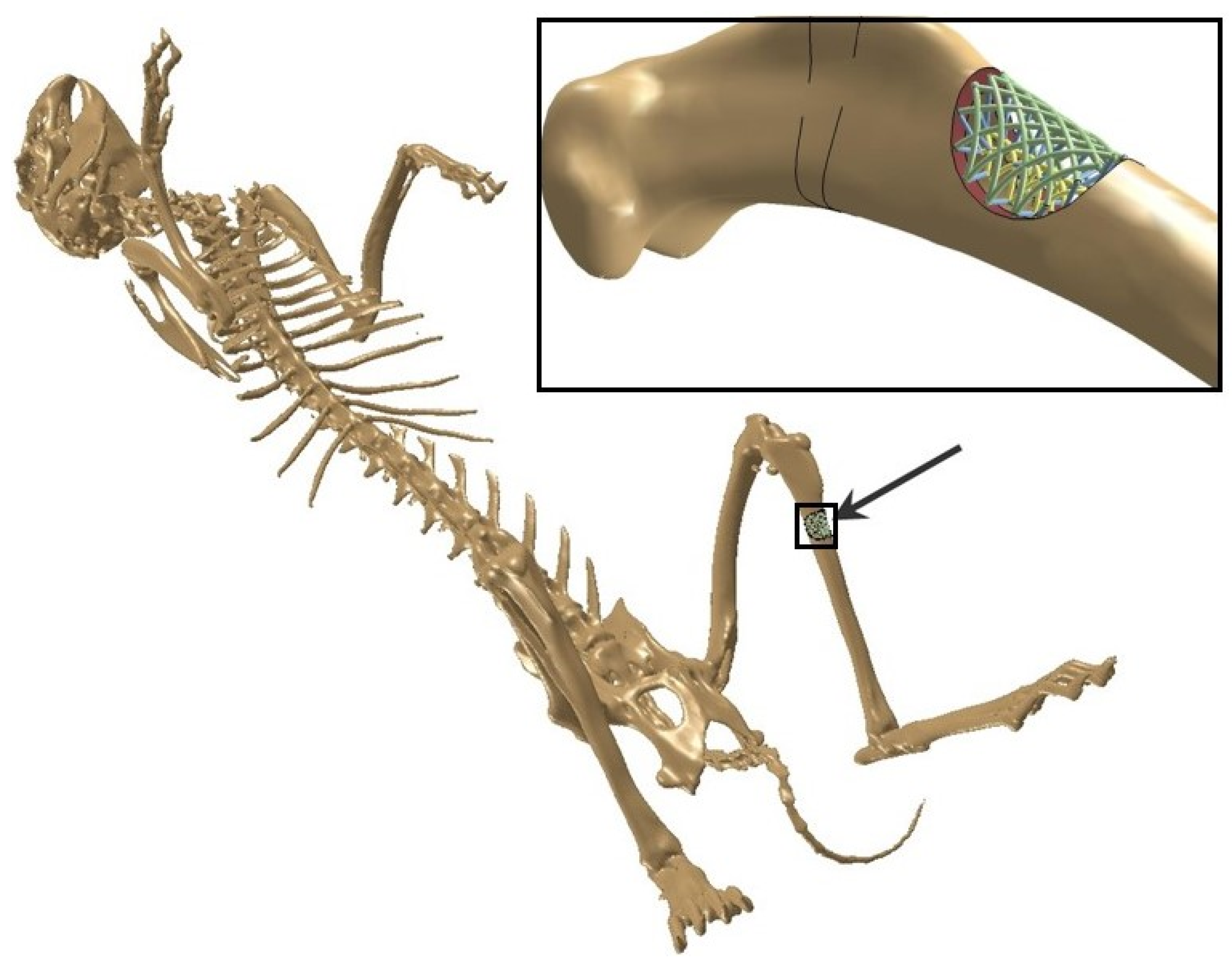 Metals 14 00219 g002