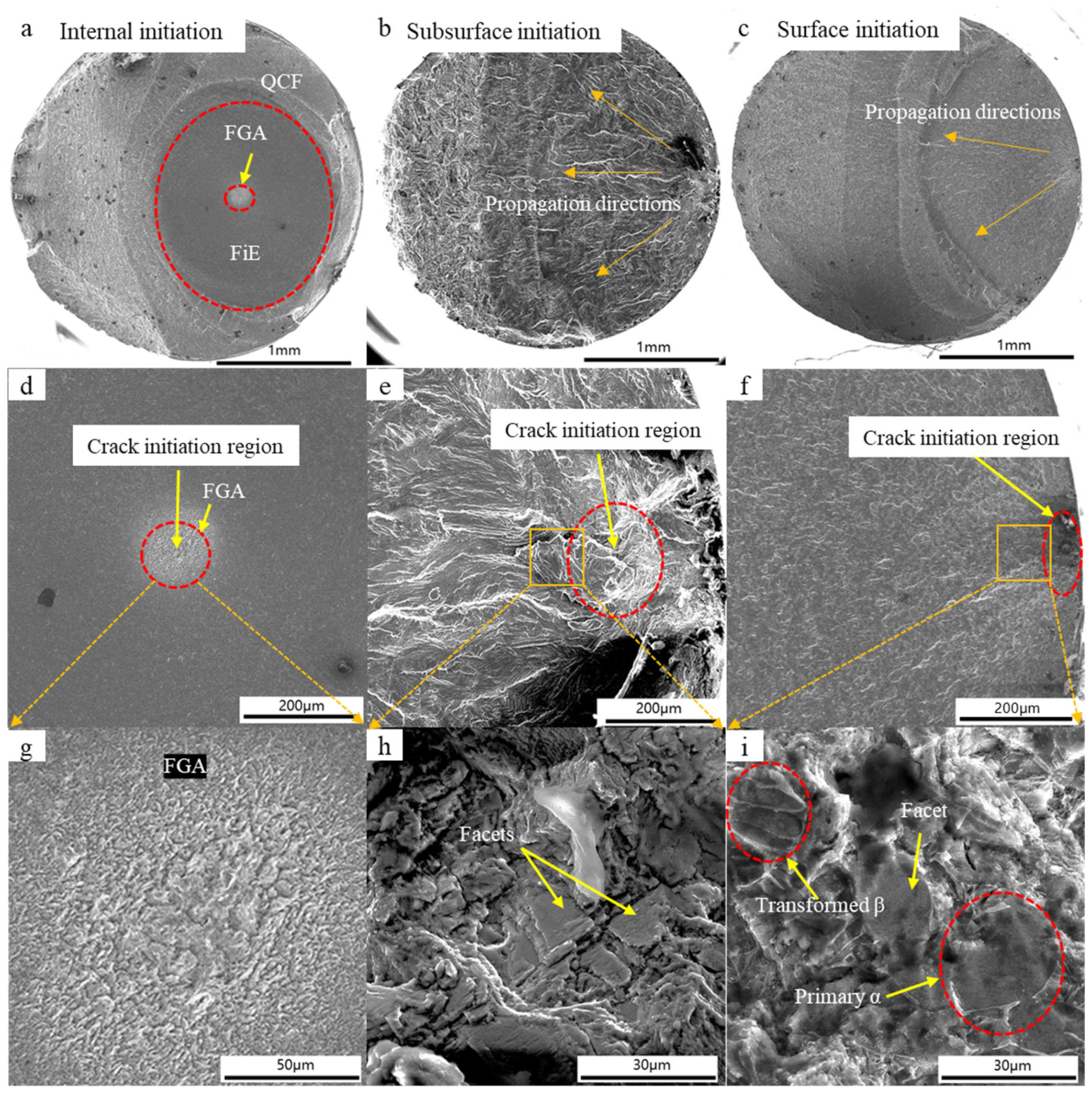 Metals 14 00254 g004