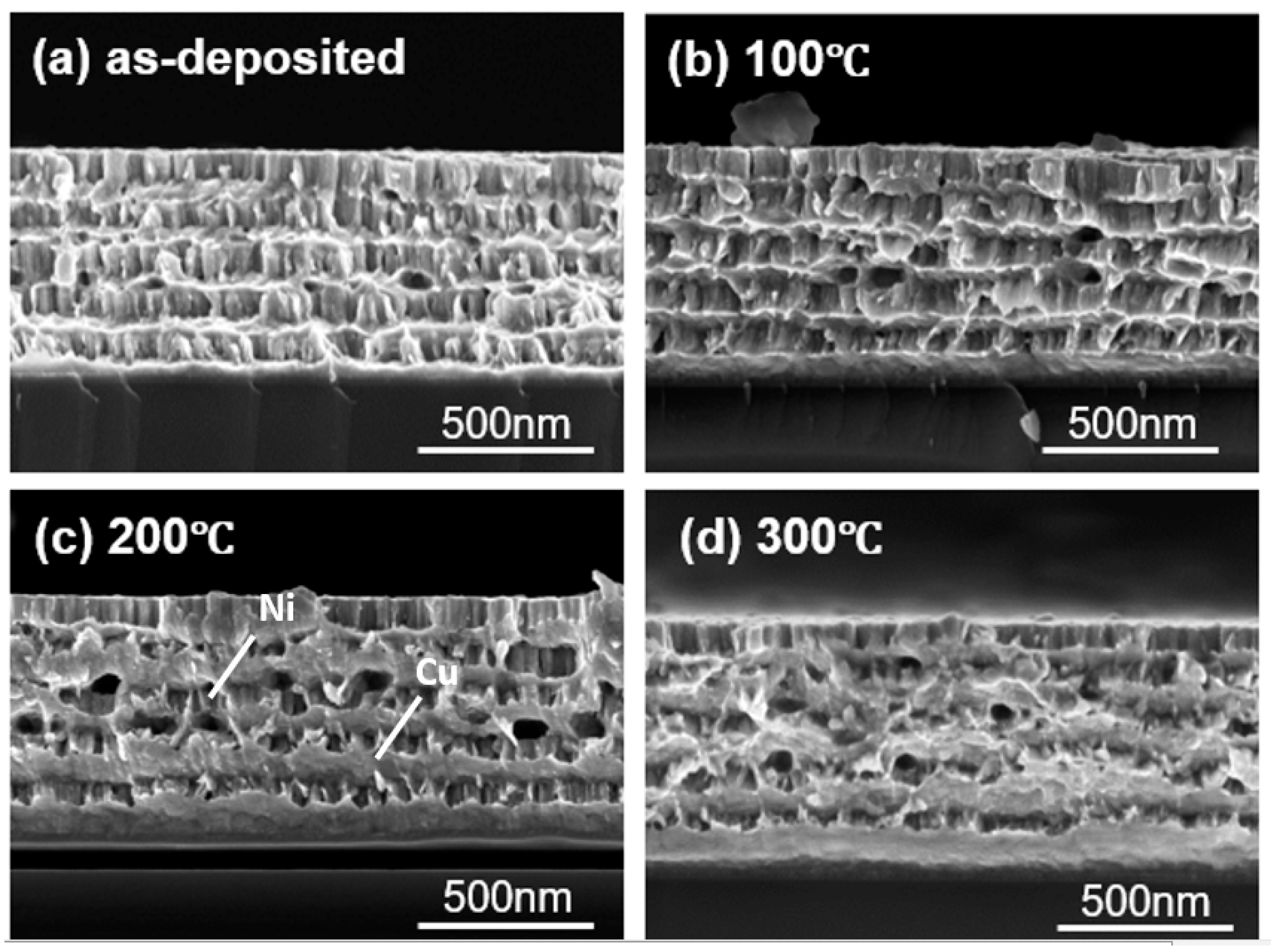 Metals 14 00256 g006