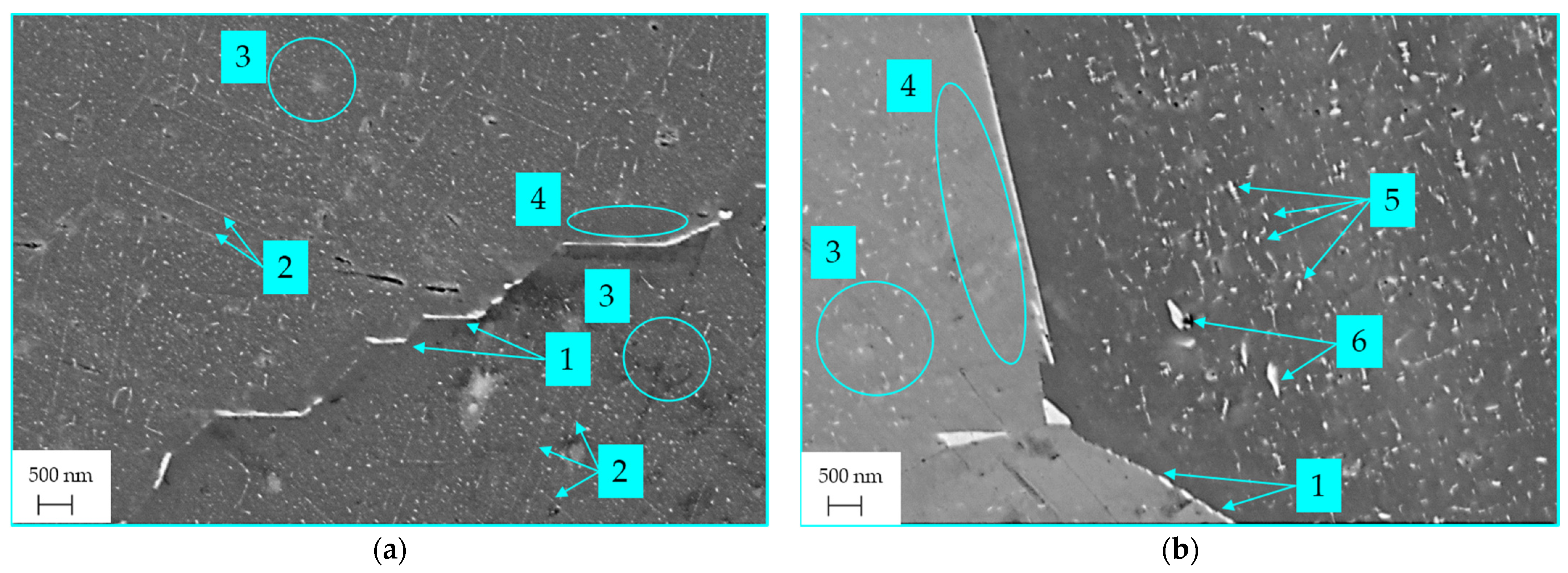 Metals 14 00258 g007