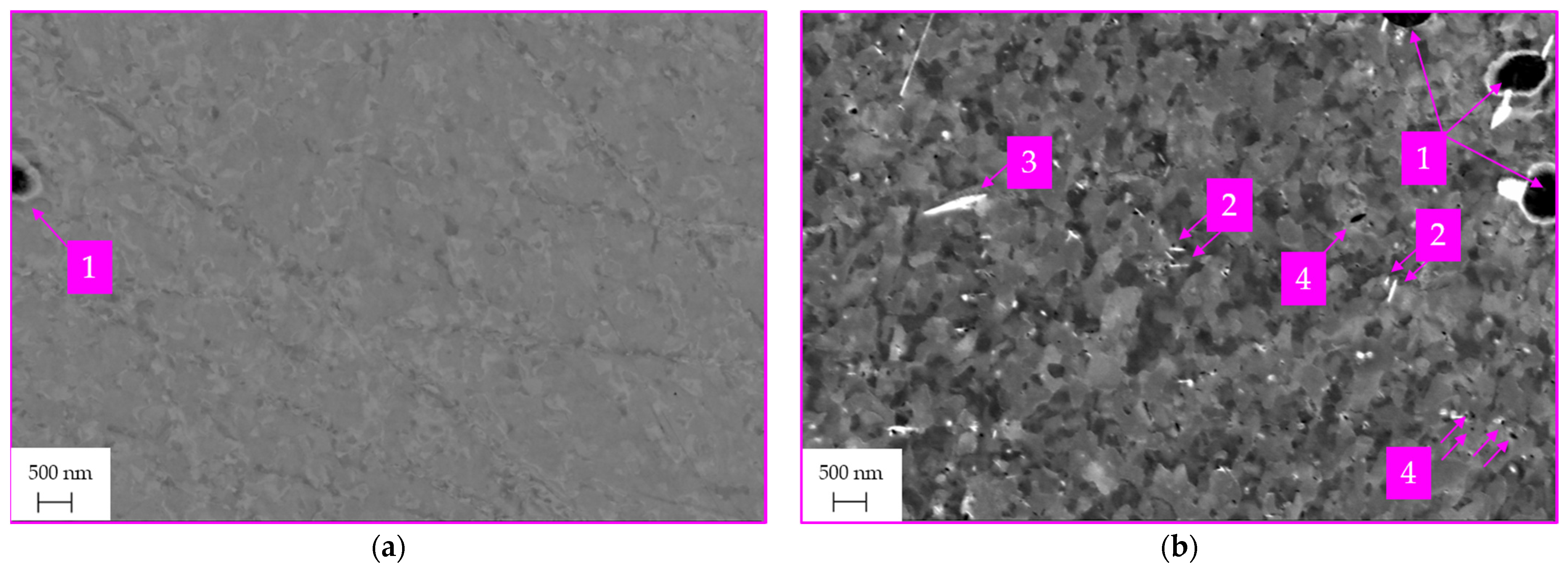 Metals 14 00258 g009