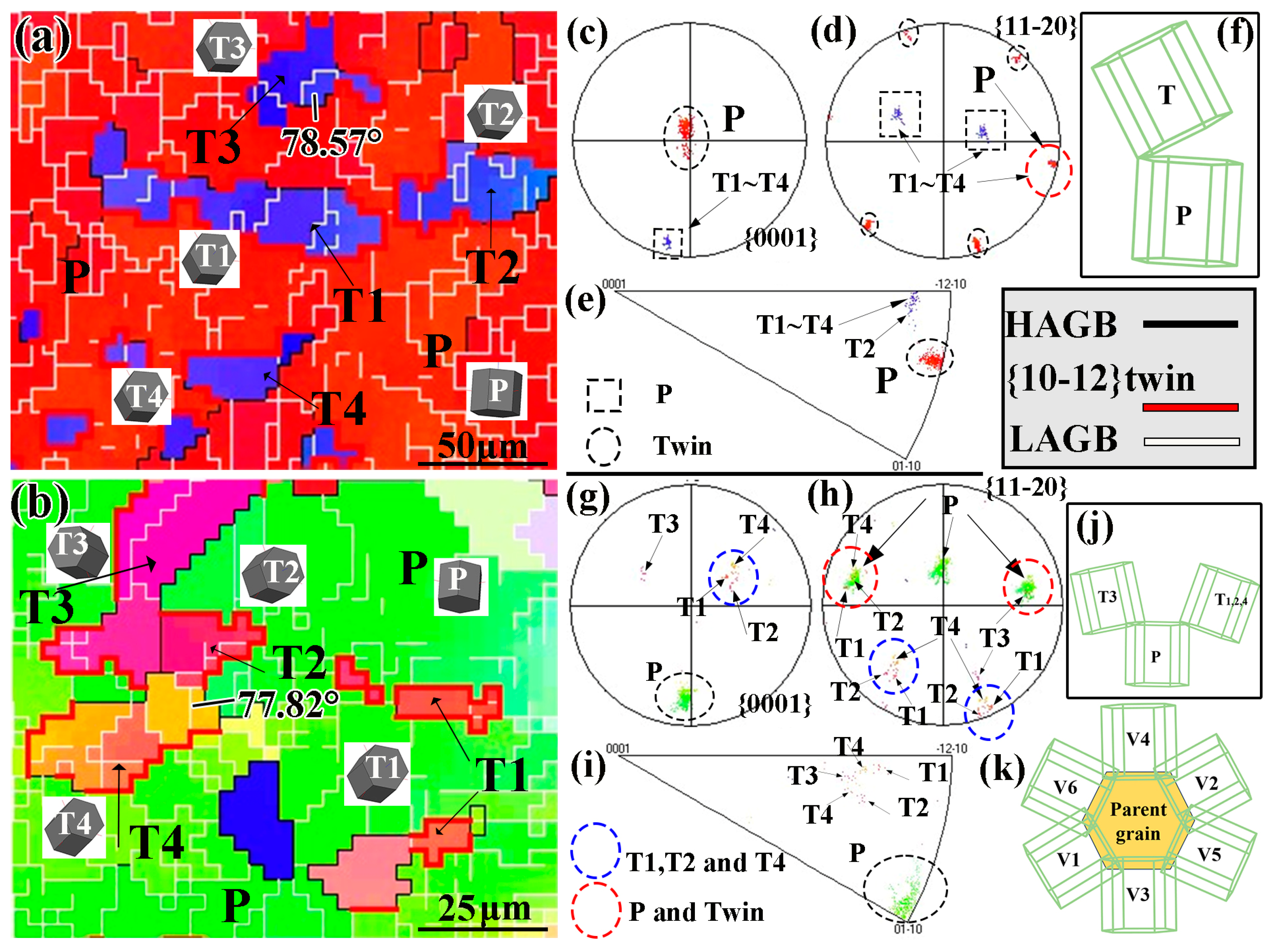 Metals 14 00259 g007