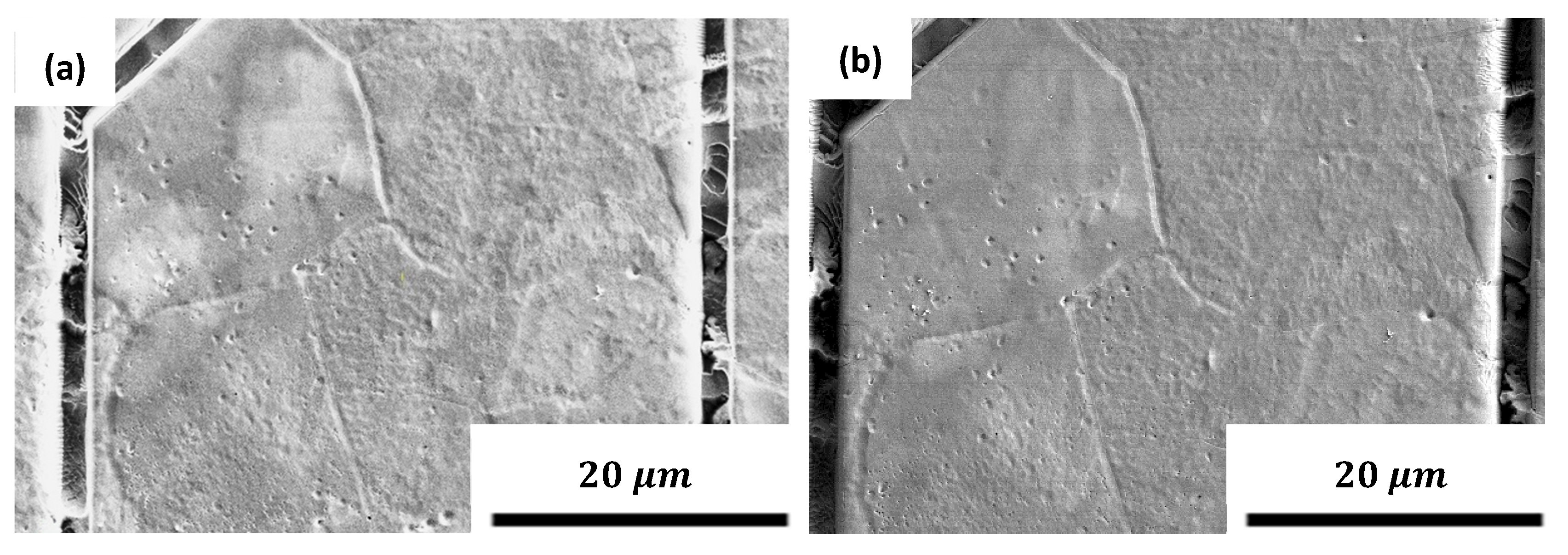 Metals 14 00260 g007 Metals 14 00260 g007