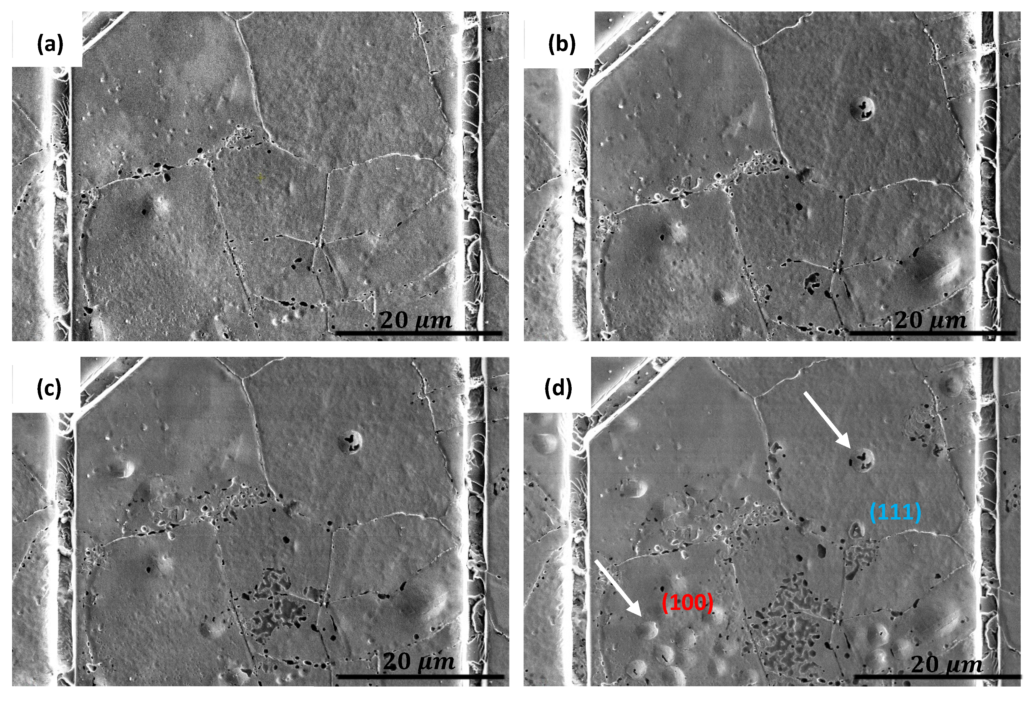 Metals 14 00260 g009 Metals 14 00260 g009