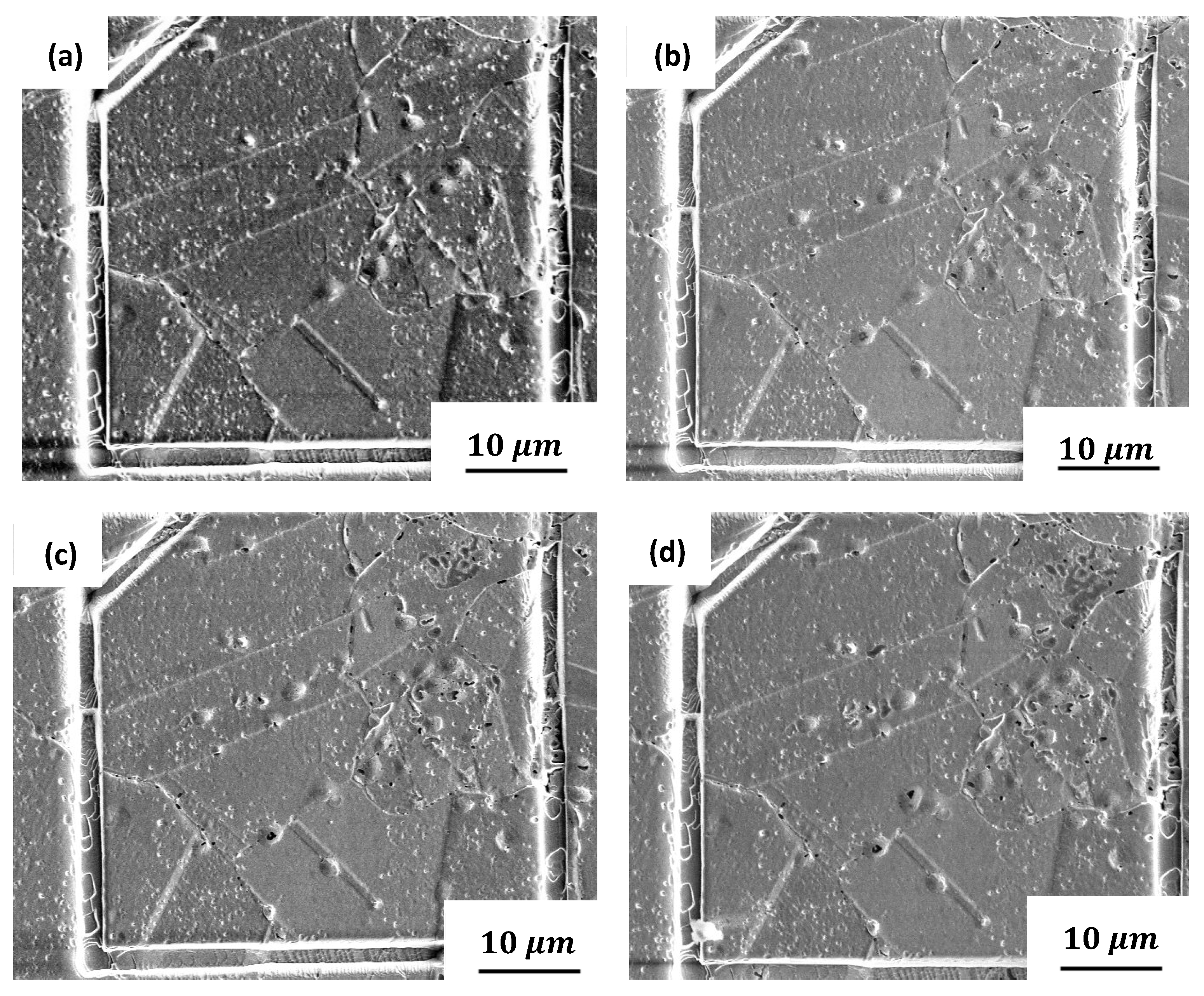 Metals 14 00260 g010 Metals 14 00260 g010