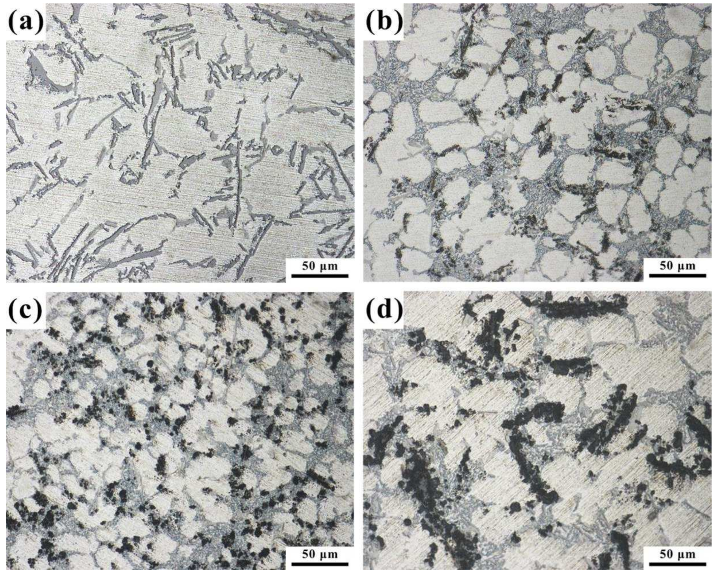 Metals 14 00265 g006