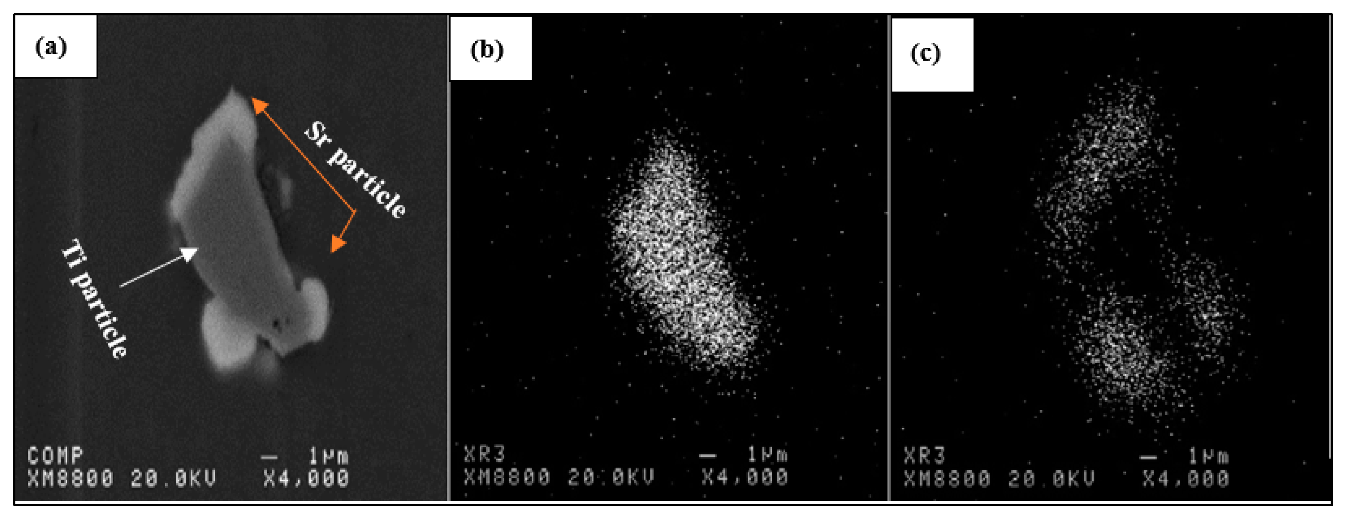 Metals 14 00271 g010