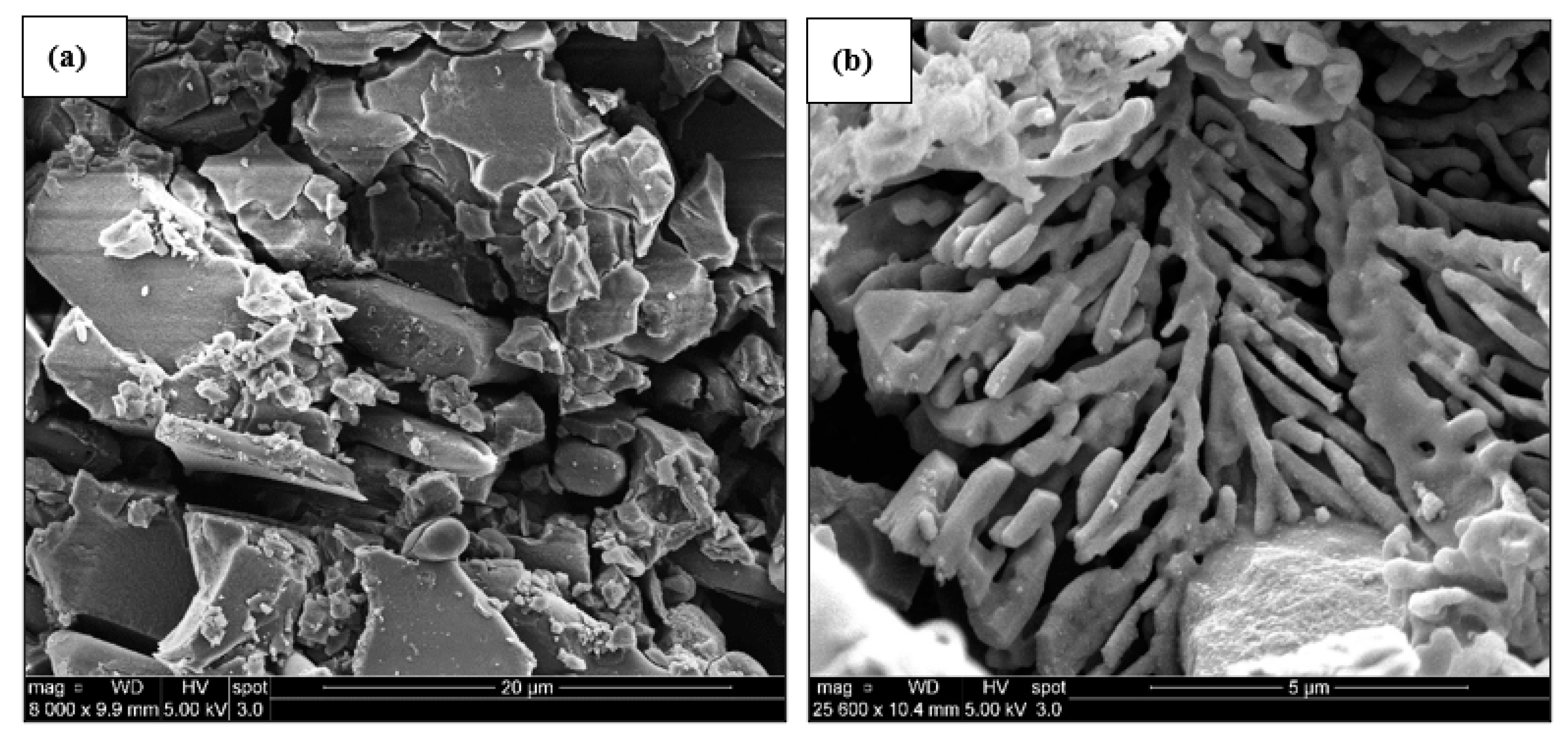 Metals 14 00271 g012