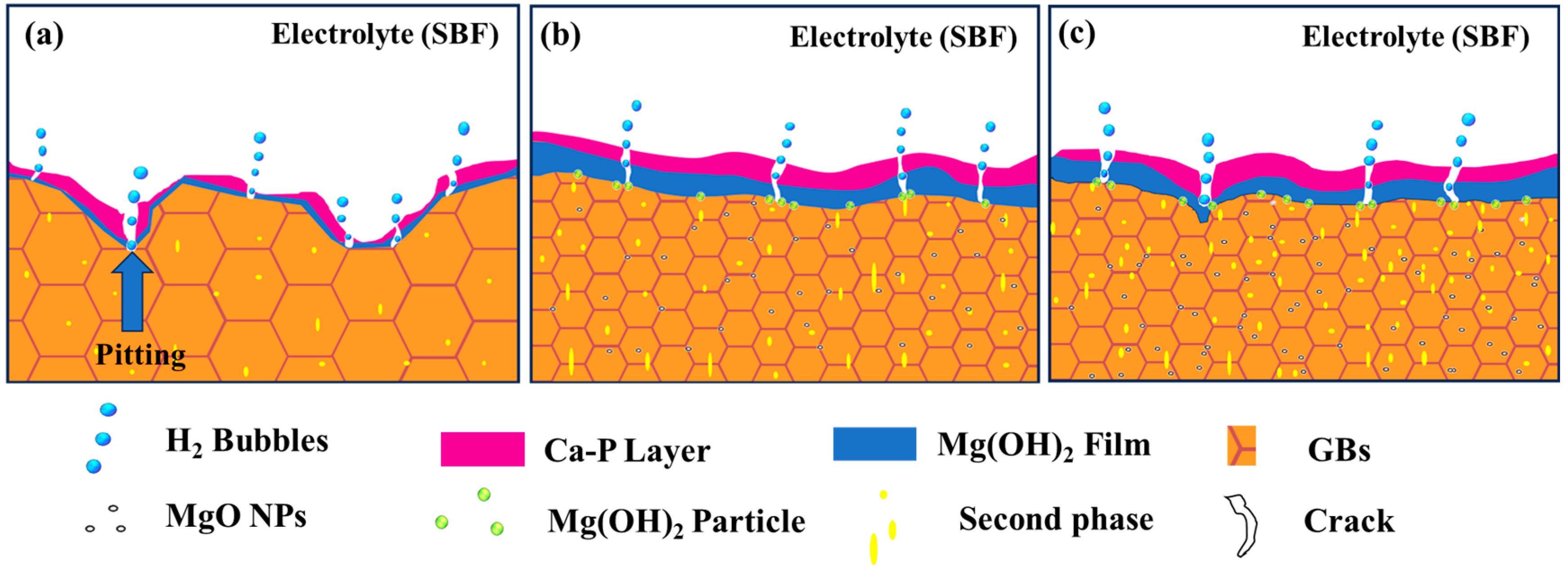 Metals 14 00274 g015