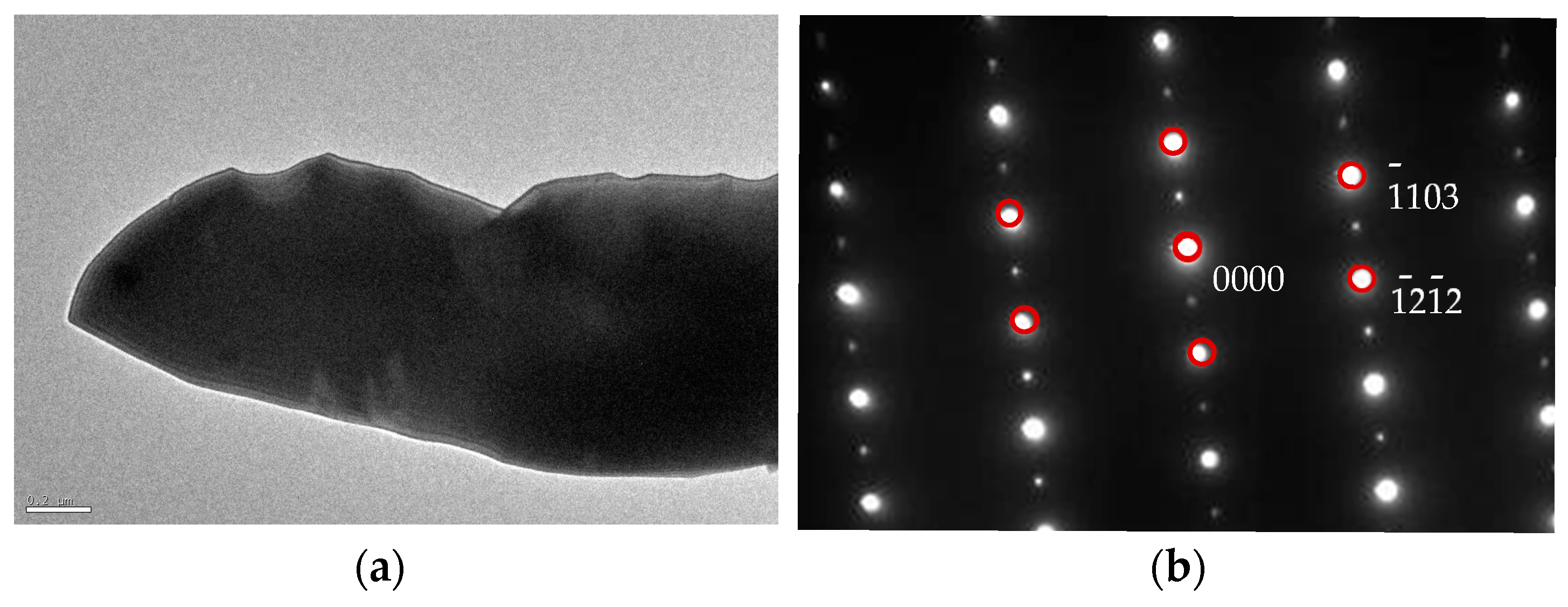 Metals 14 00276 g010