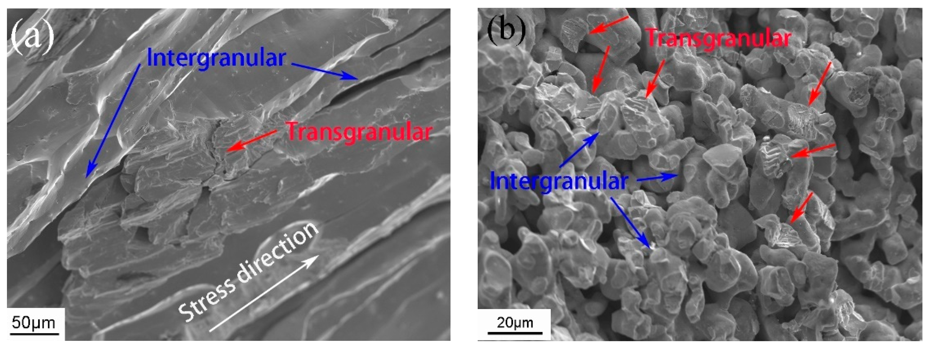 Metals 14 00291 g006