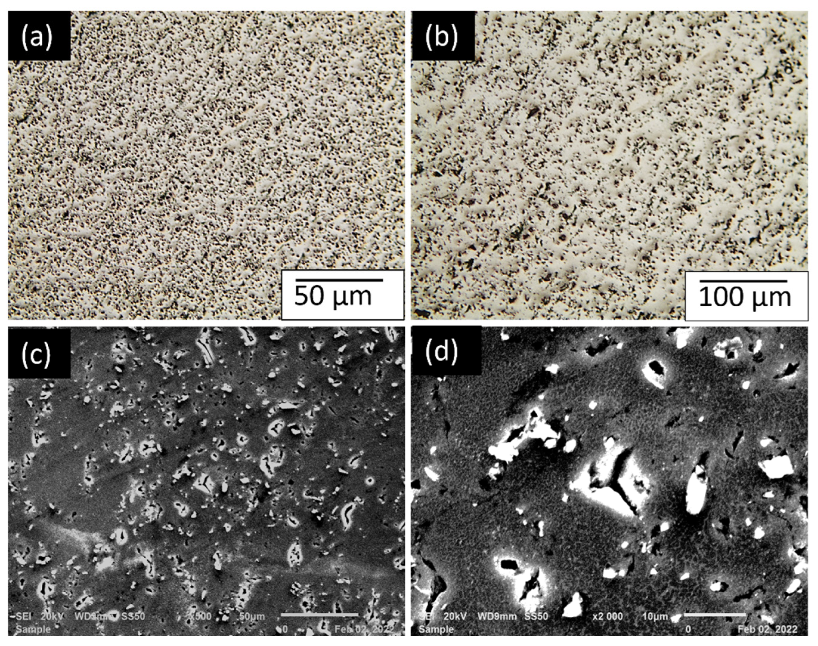 Metals 14 00292 g007