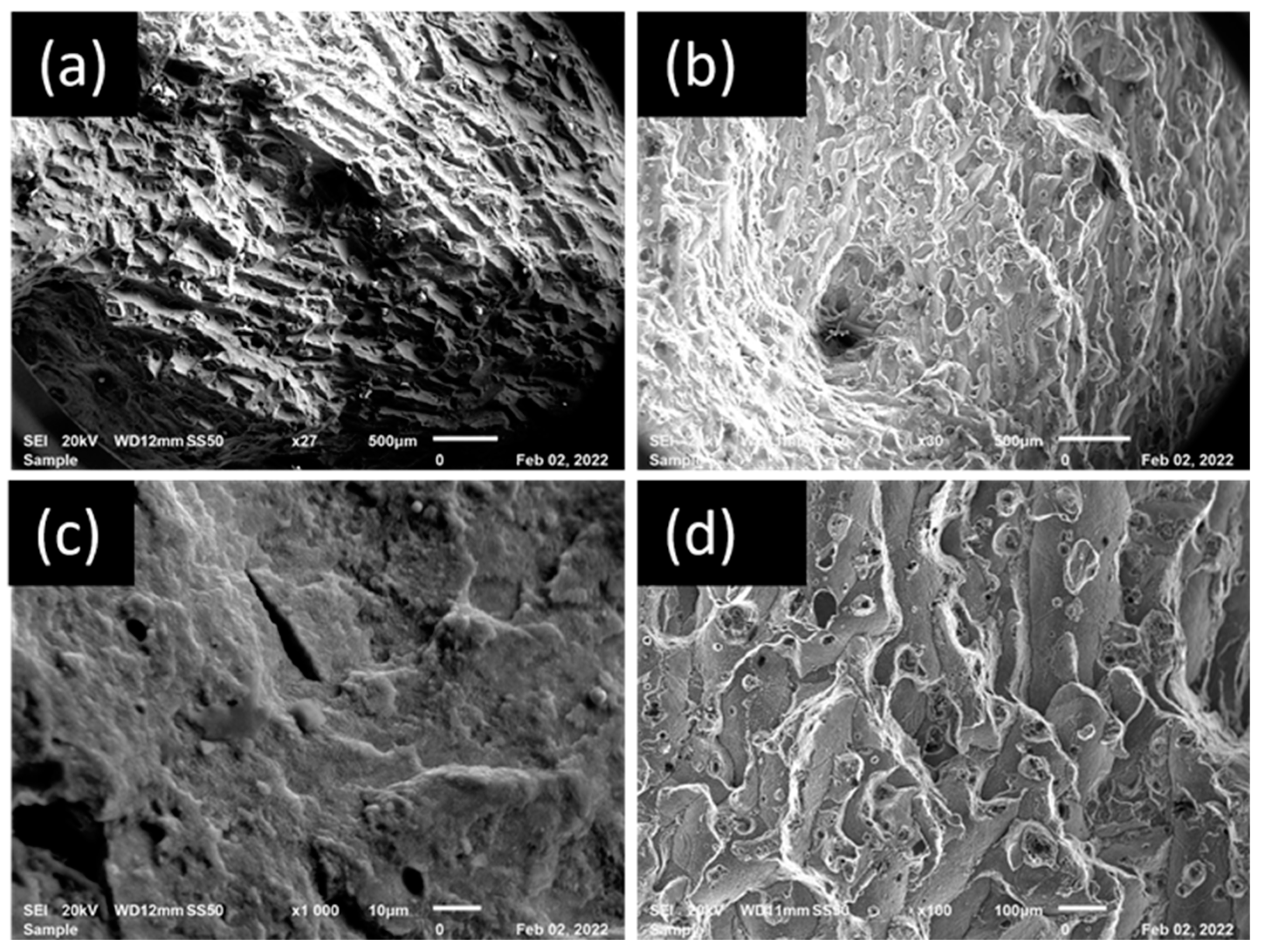 Metals 14 00292 g013