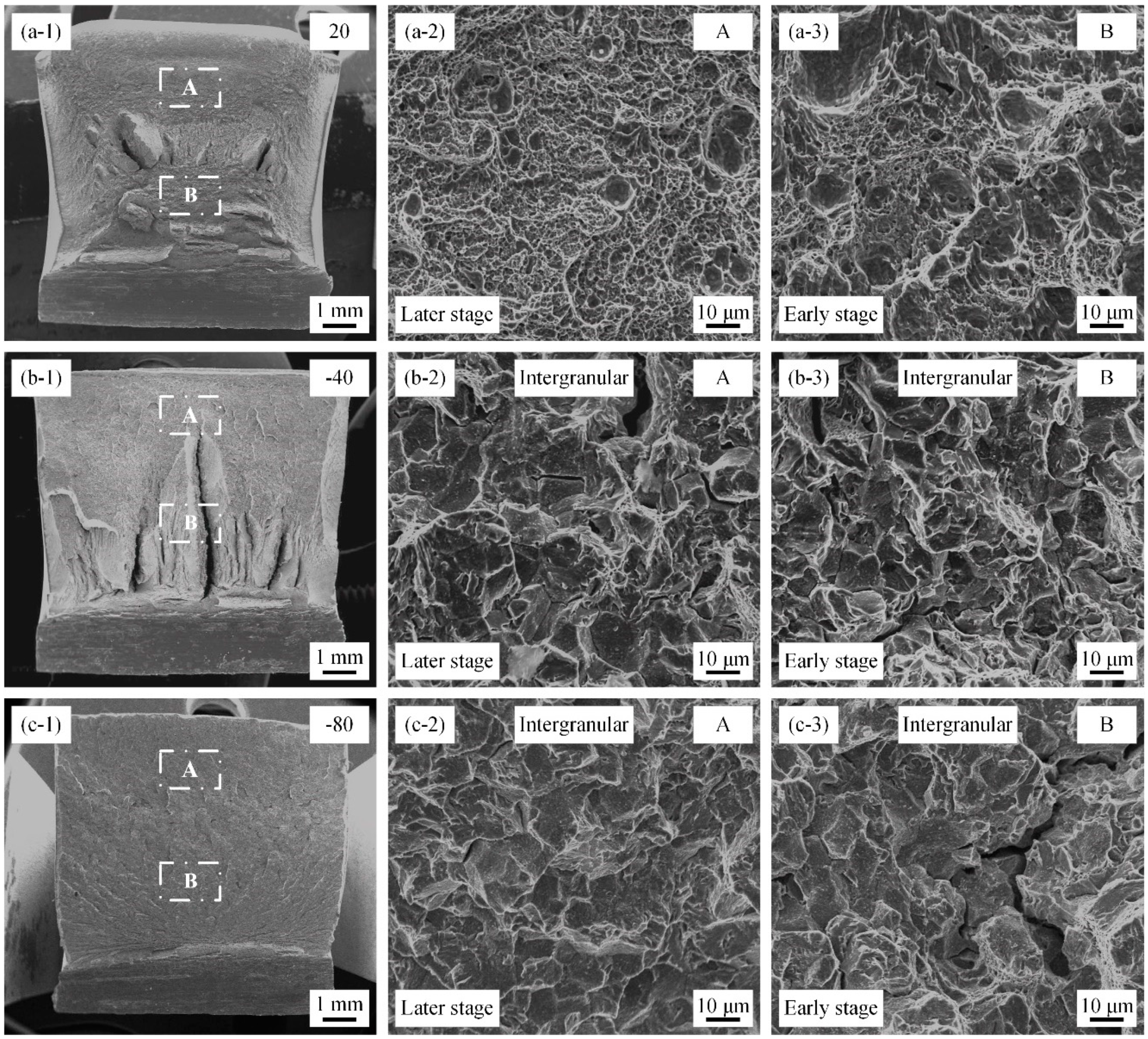 Metals 14 00293 g008