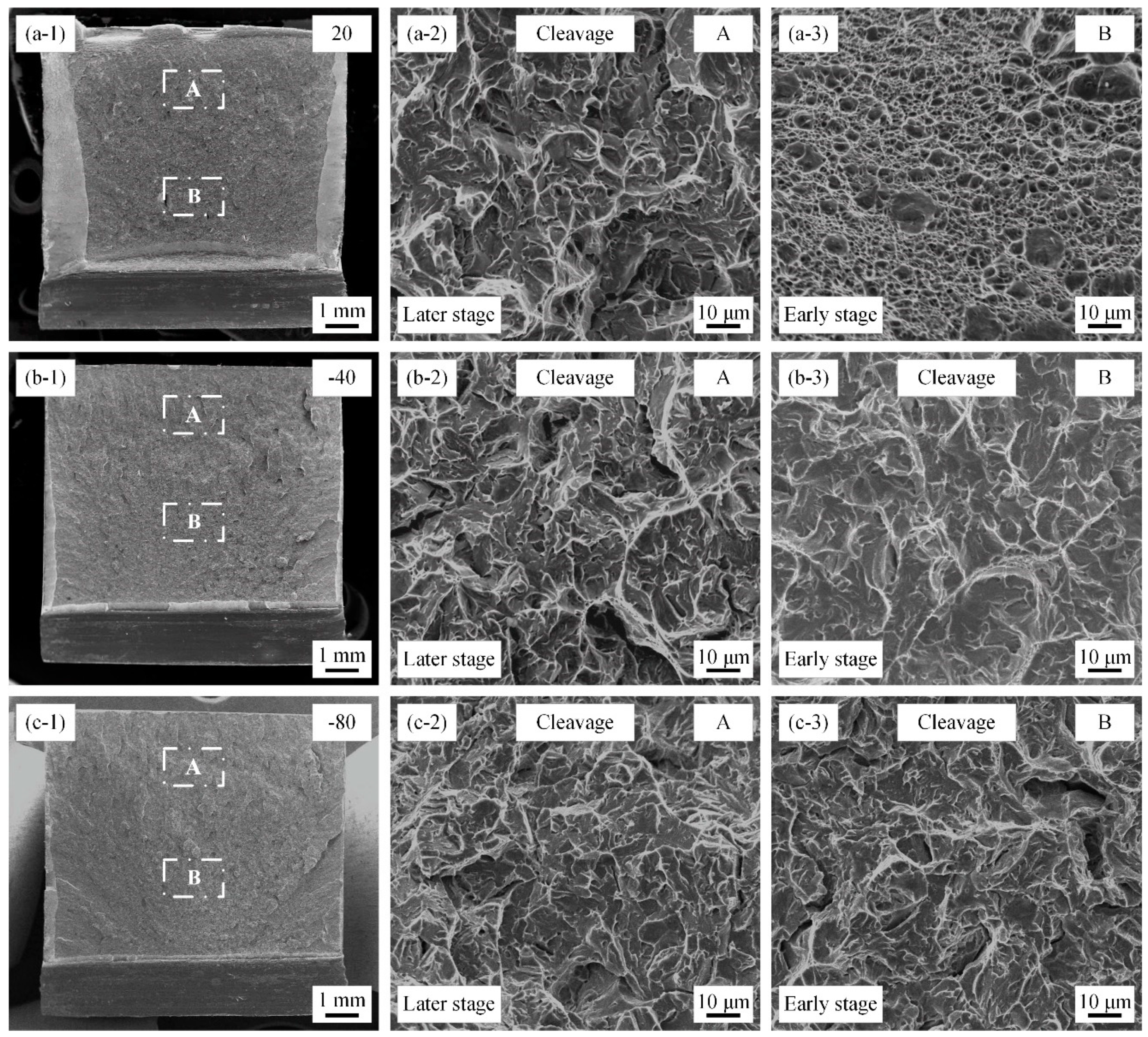 Metals 14 00293 g009