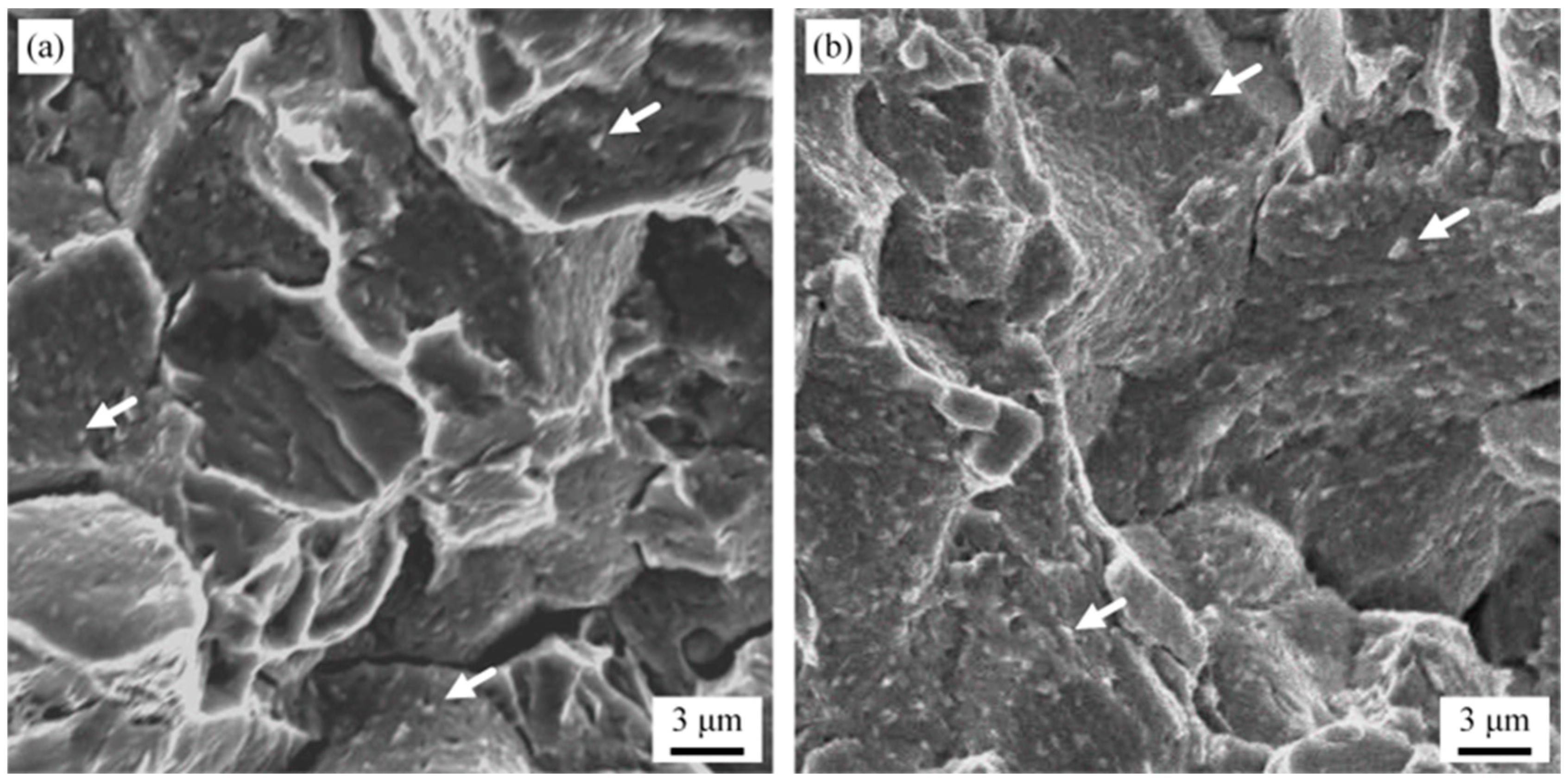 Metals 14 00293 g012