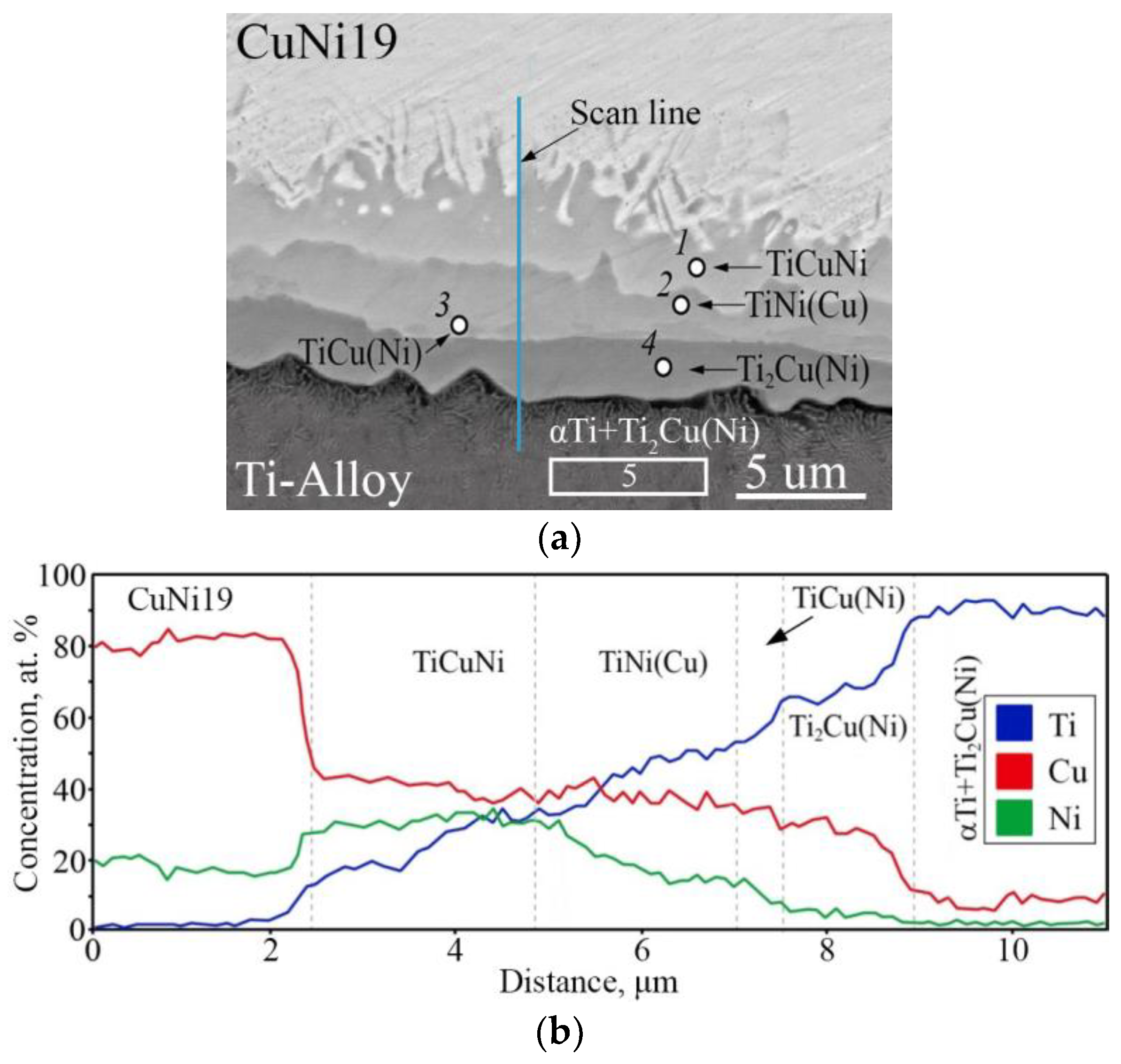 Metals 14 00298 g002
