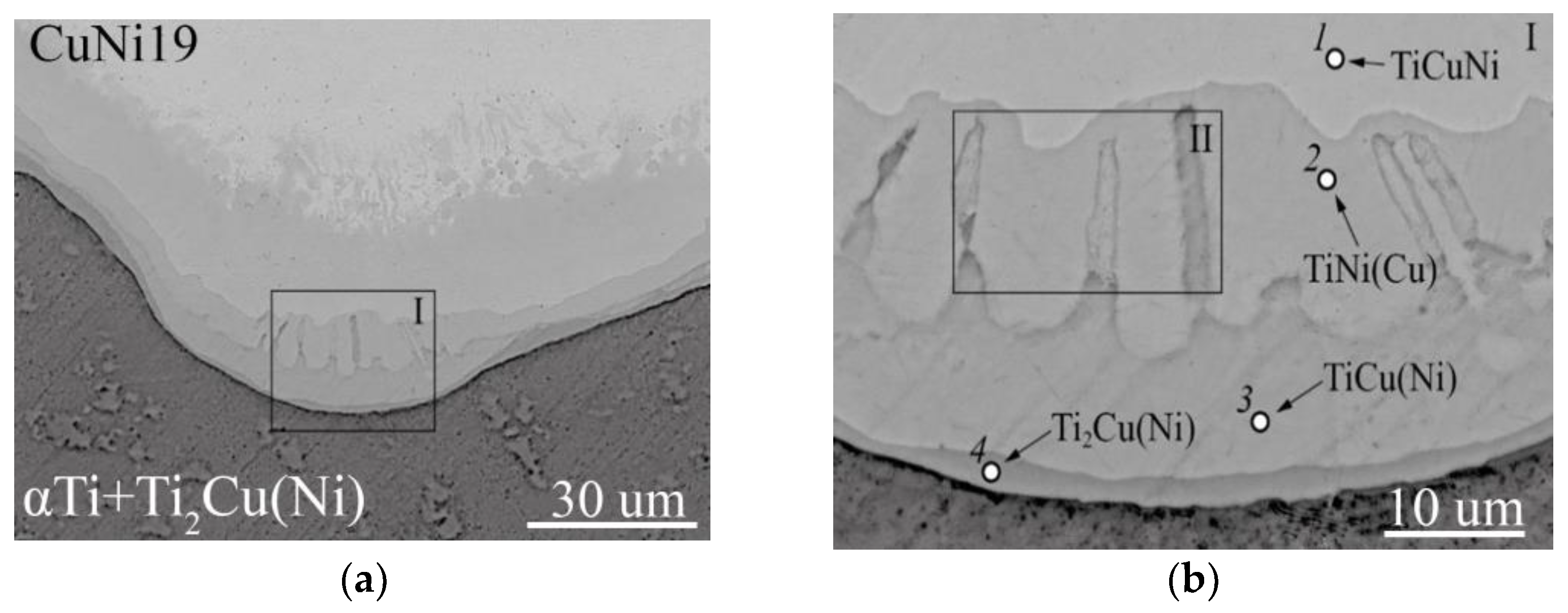 Metals 14 00298 g004a