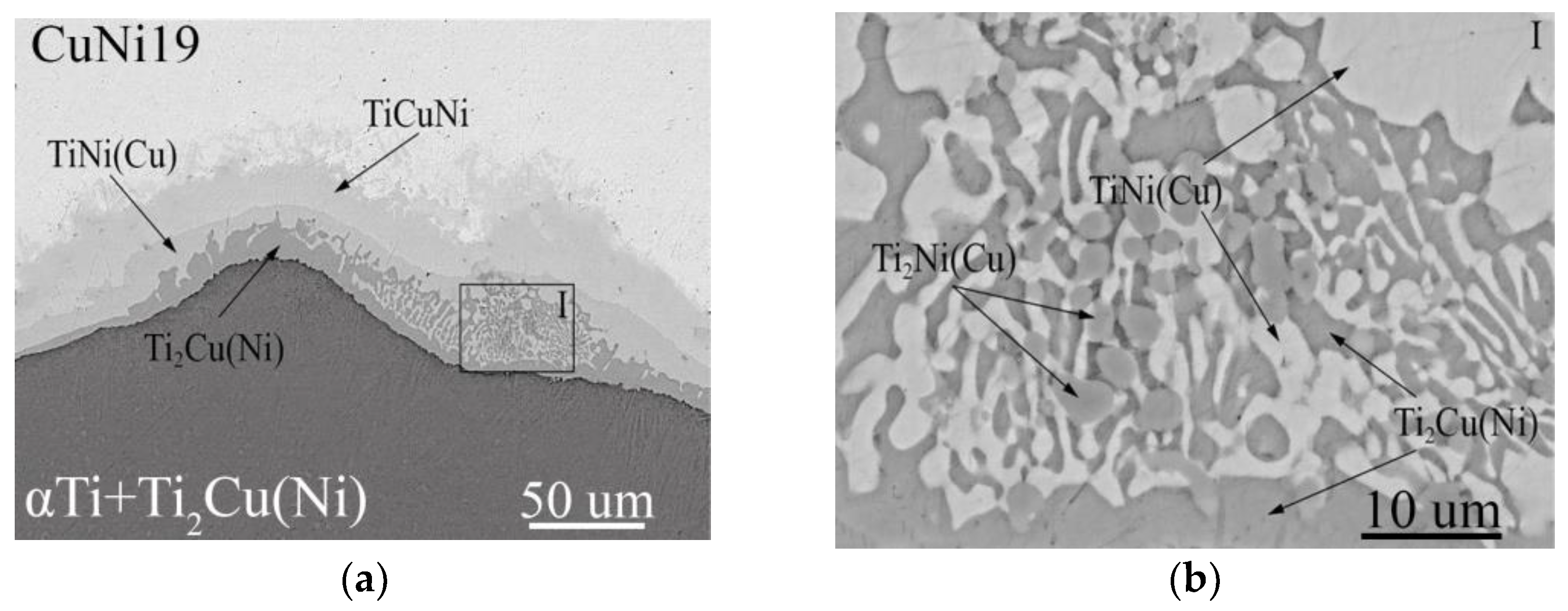 Metals 14 00298 g005