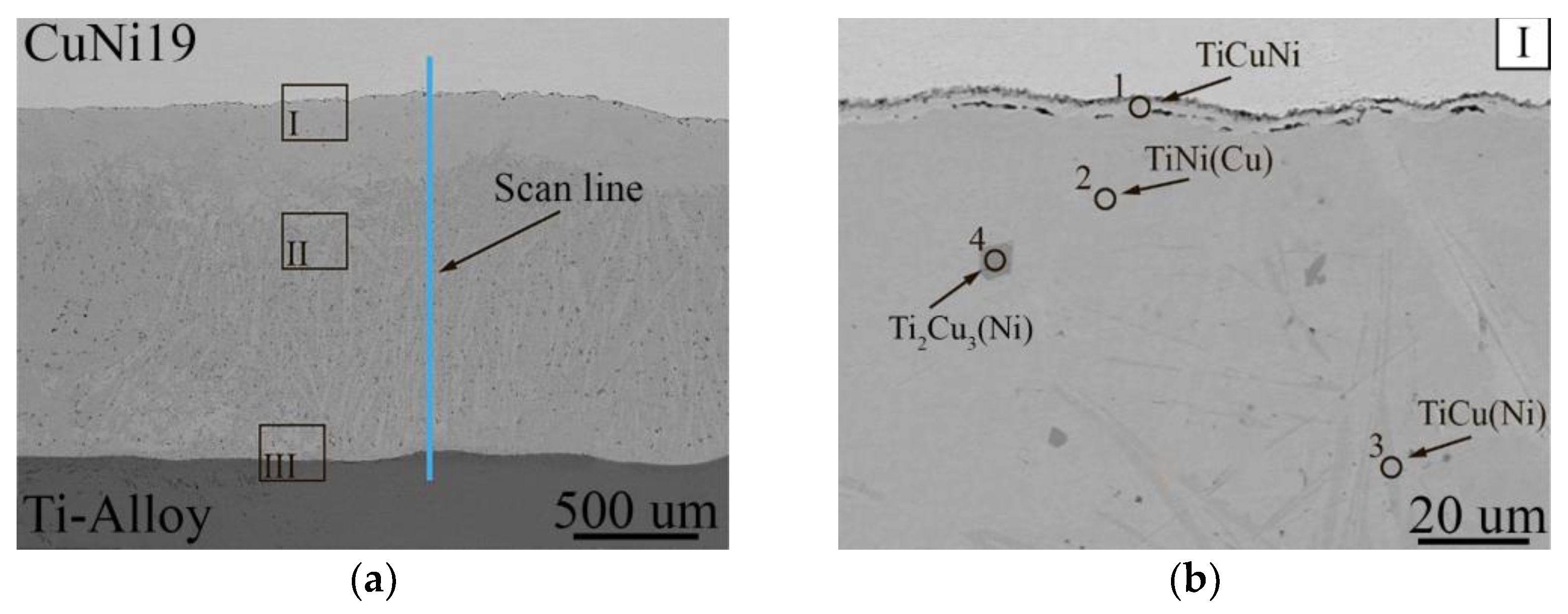 Metals 14 00298 g007a