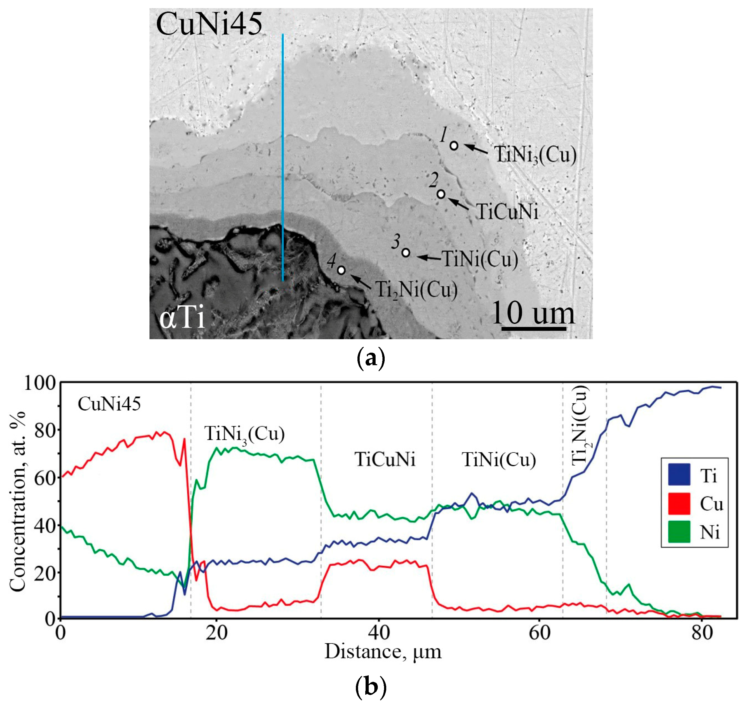 Metals 14 00298 g010