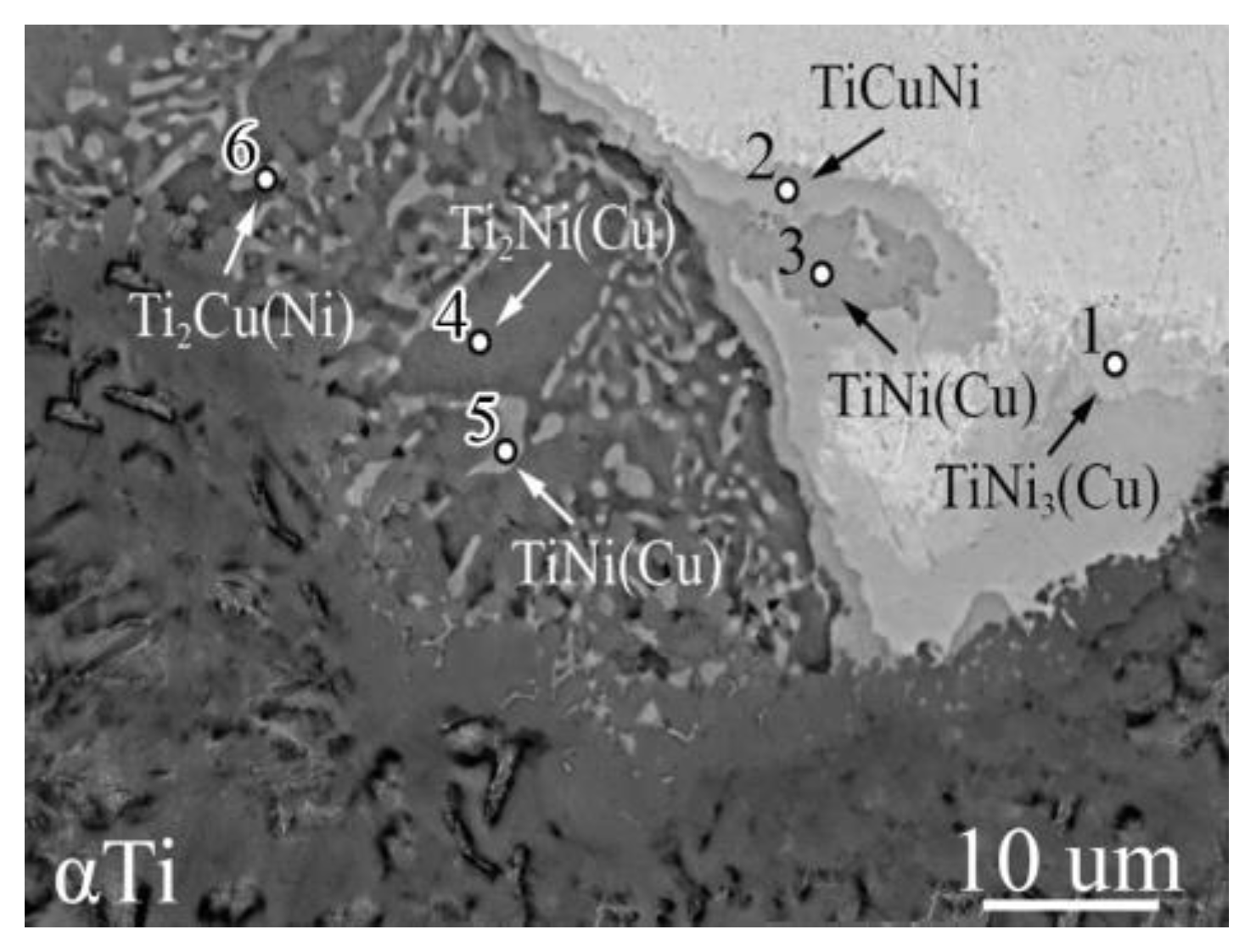 Metals 14 00298 g011