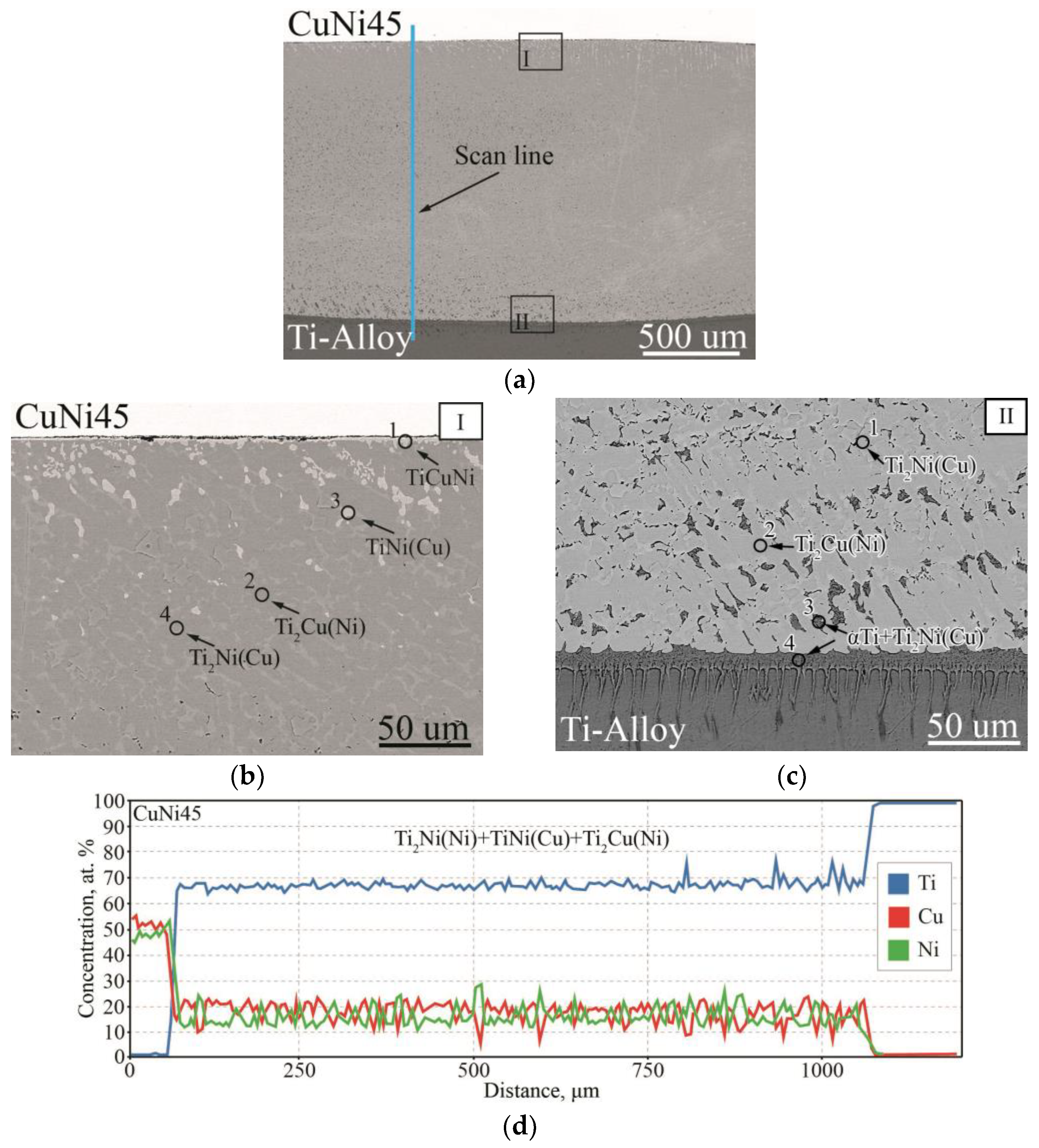 Metals 14 00298 g012